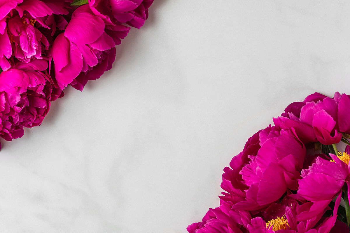 SQL Server 数据库操作实验：创建表、插入数据、创建视图