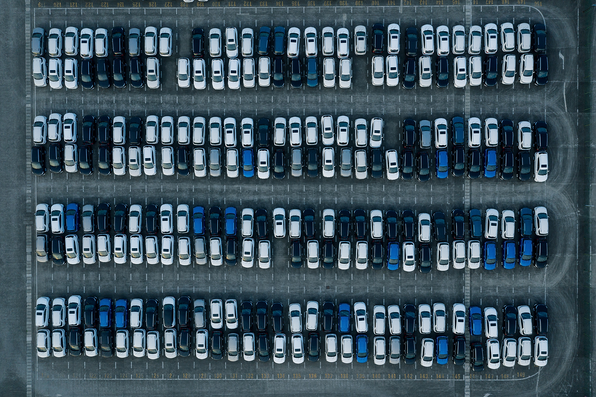 重庆汽车整形专业怎么报名及报名方式