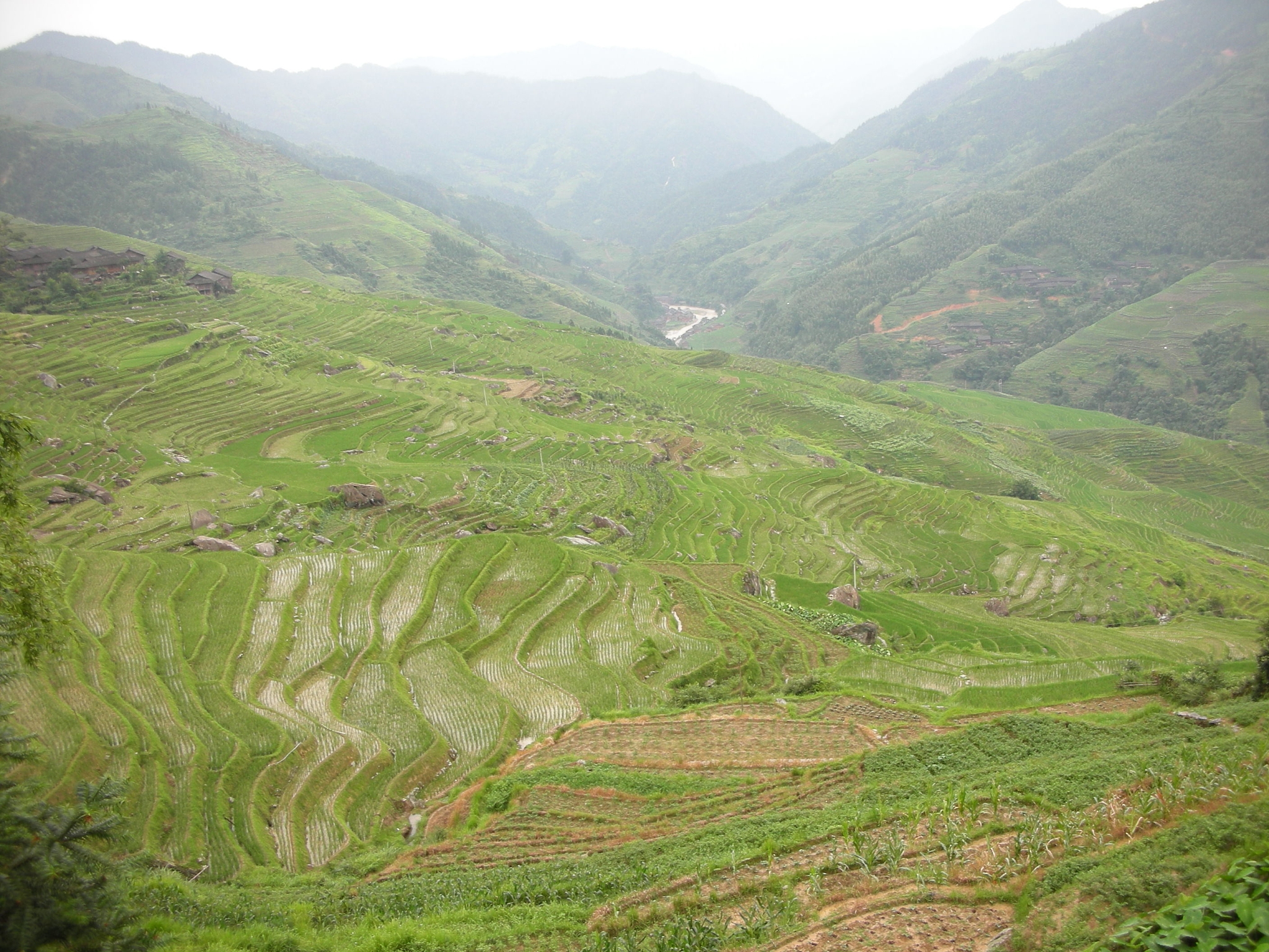 山民的山能收费吗？山地资源使用权解读