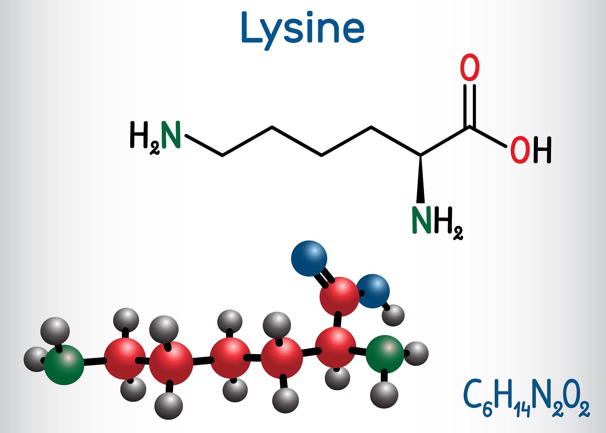 lysine (l- lysine , lys, k) amino acid molecule. it is used in t