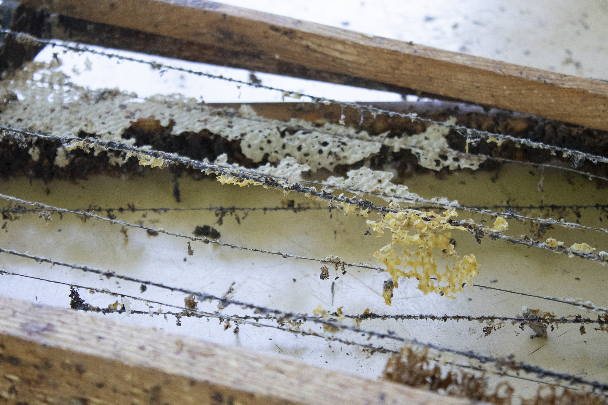used honeycombs. houses of bees - hive. beekeeping. beekeeper.ap