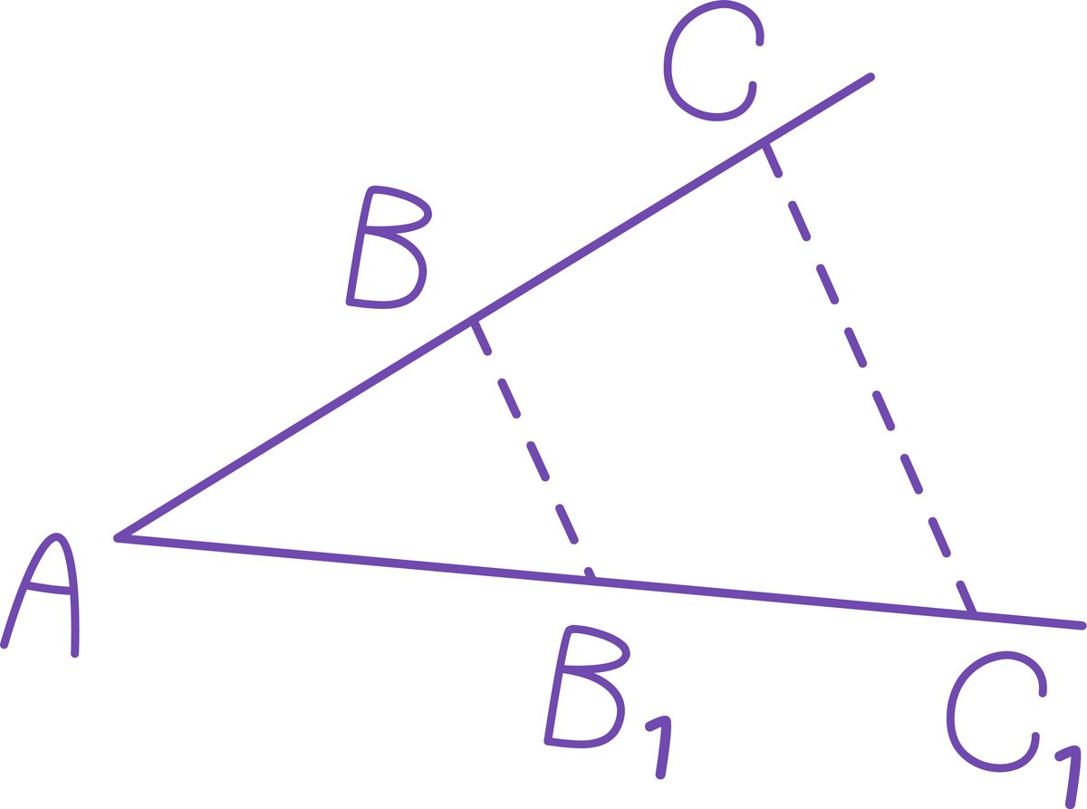 Trigonometry: Was I Good at Math Because of It?