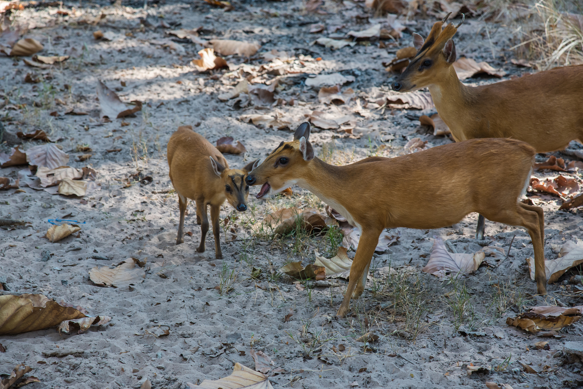 2021年甘肃幼师学校和职高哪个好