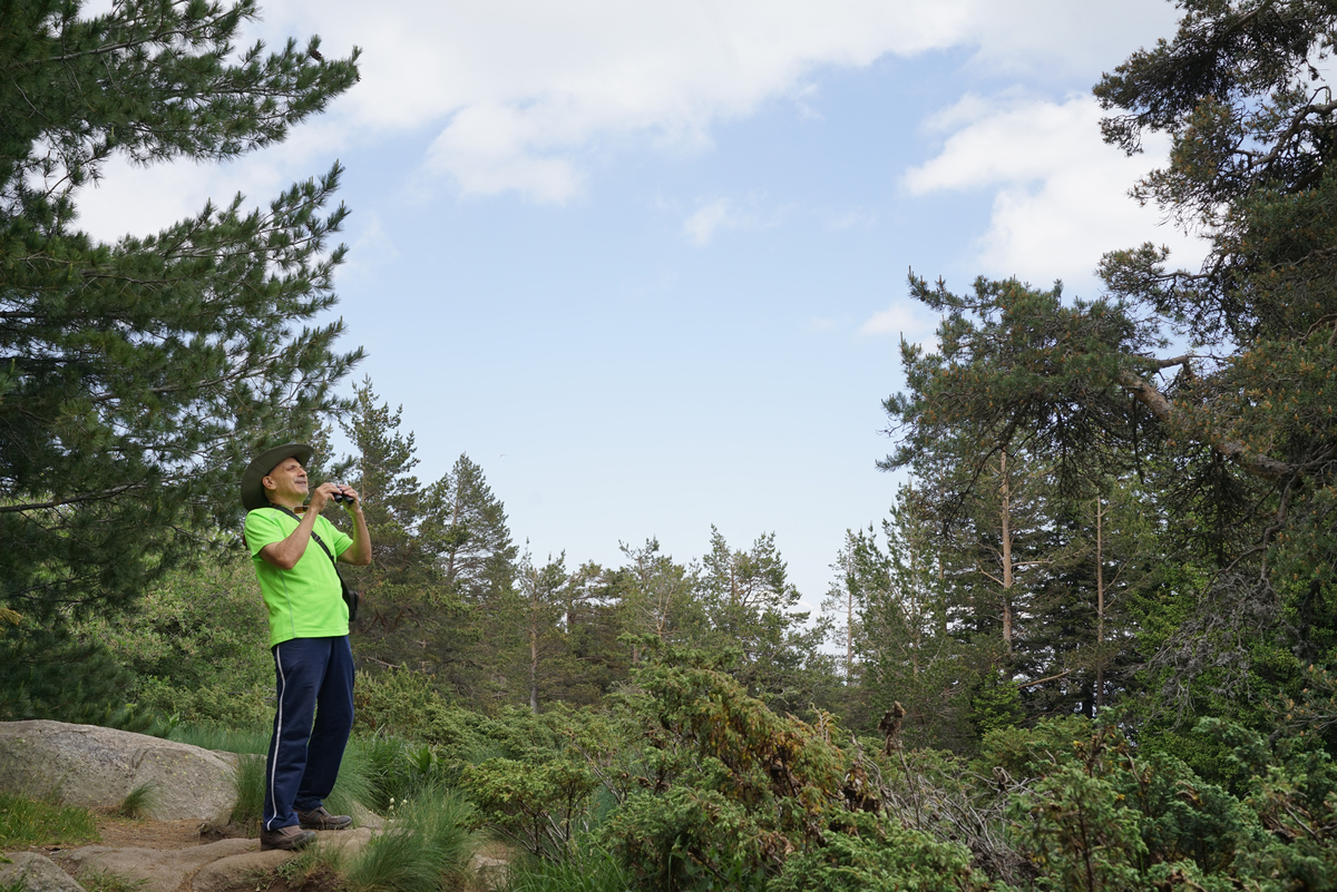 互助北山林场生态学野外实习心得500字