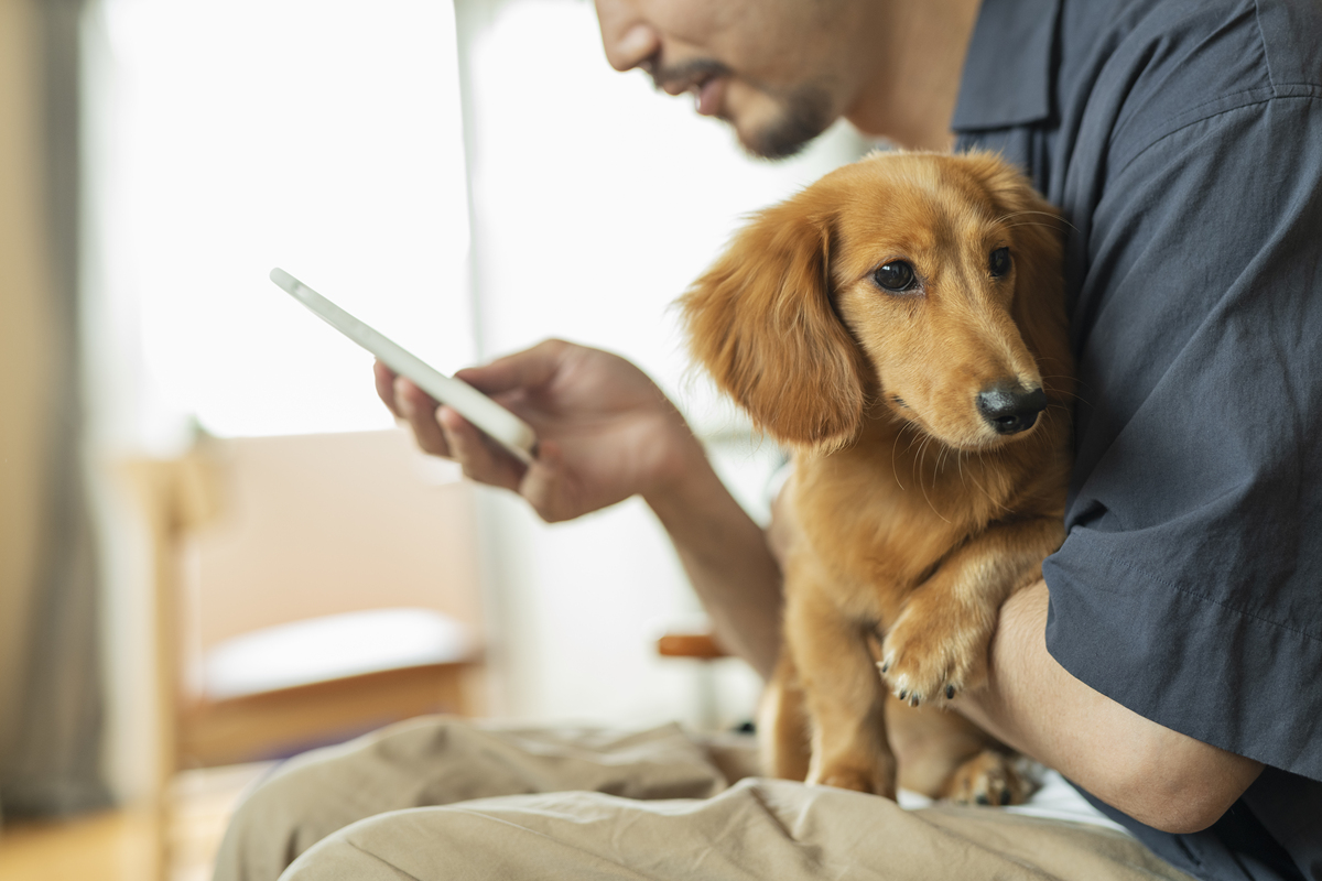 🐶养狗注意事项全解：新手必读指南，开启快乐养宠生活！🐾