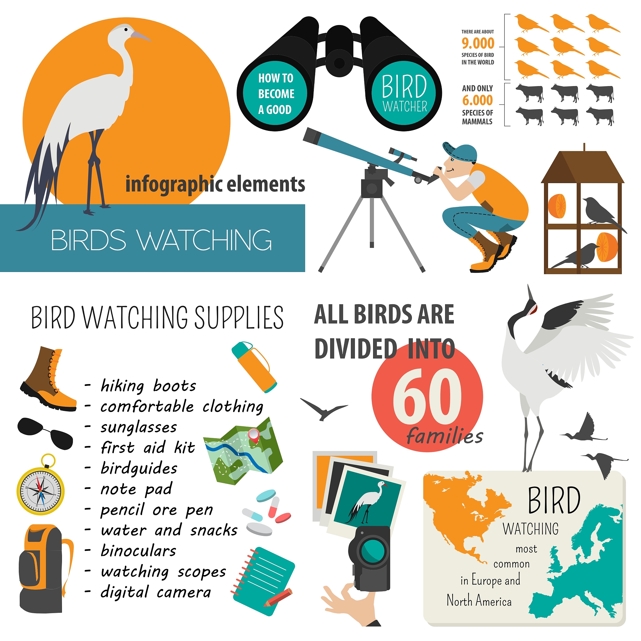 You need to write an operation plan for a new business The business is that we are a company that provides Bird and plant science education for people who are interested in these We will invite ornith