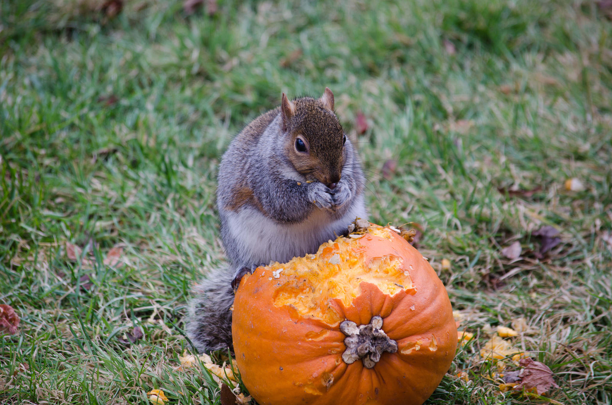 20个你可能不知道的冷知识，颠覆你的认知！