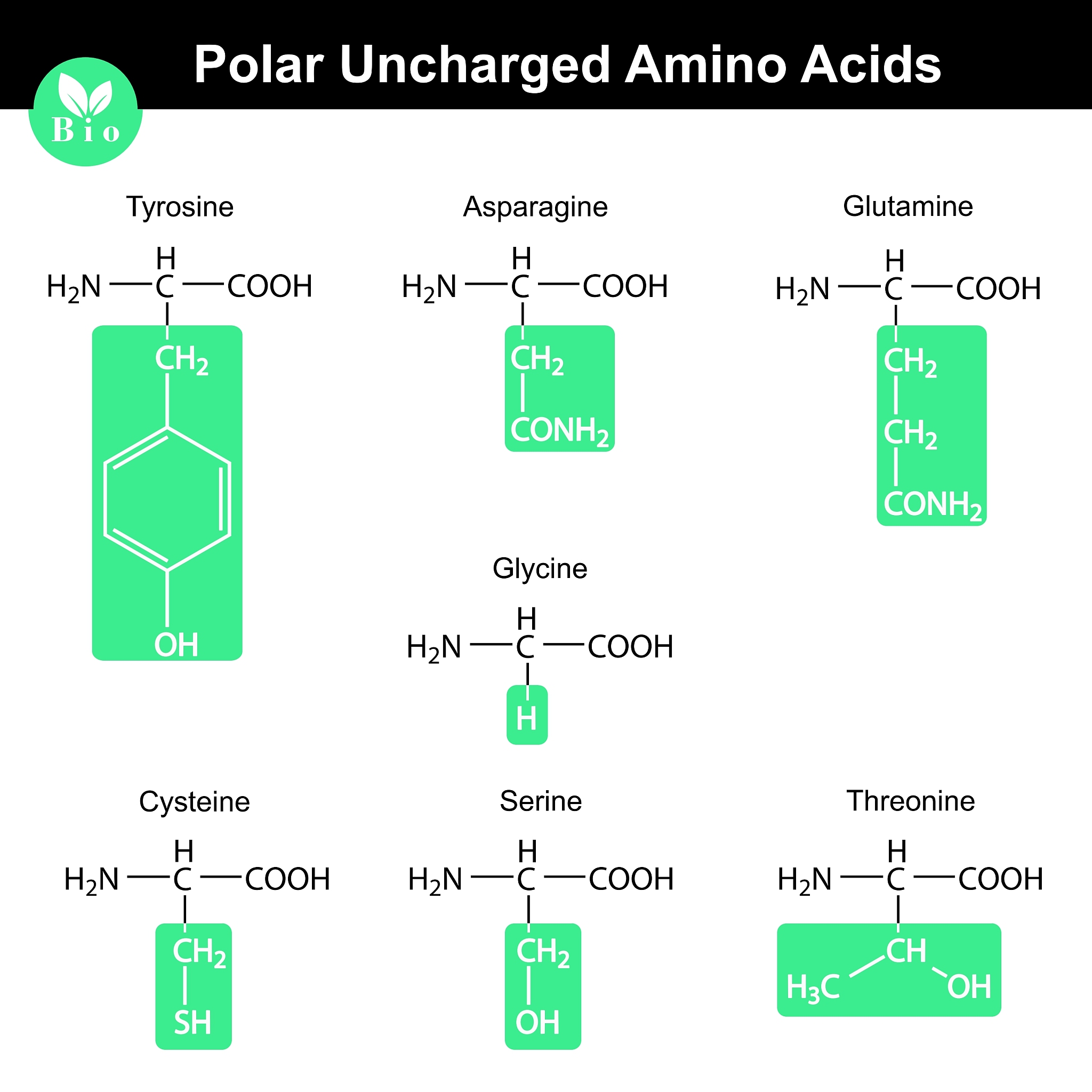 DiceCELOSS中Dice损失和CE损失的权重一般如何分配？