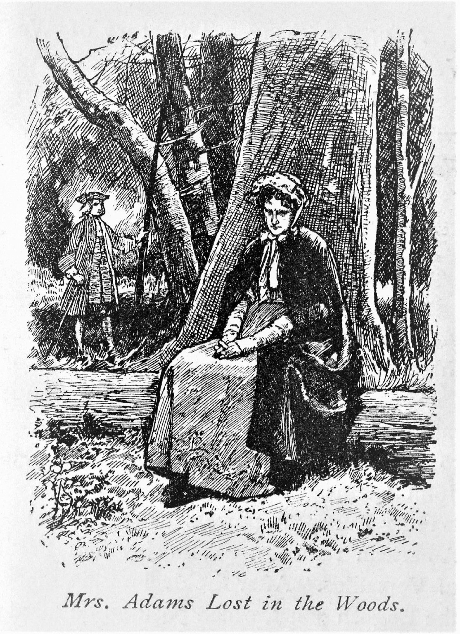 昆虫记作者是谁？_揭秘经典作品背后的传奇人物