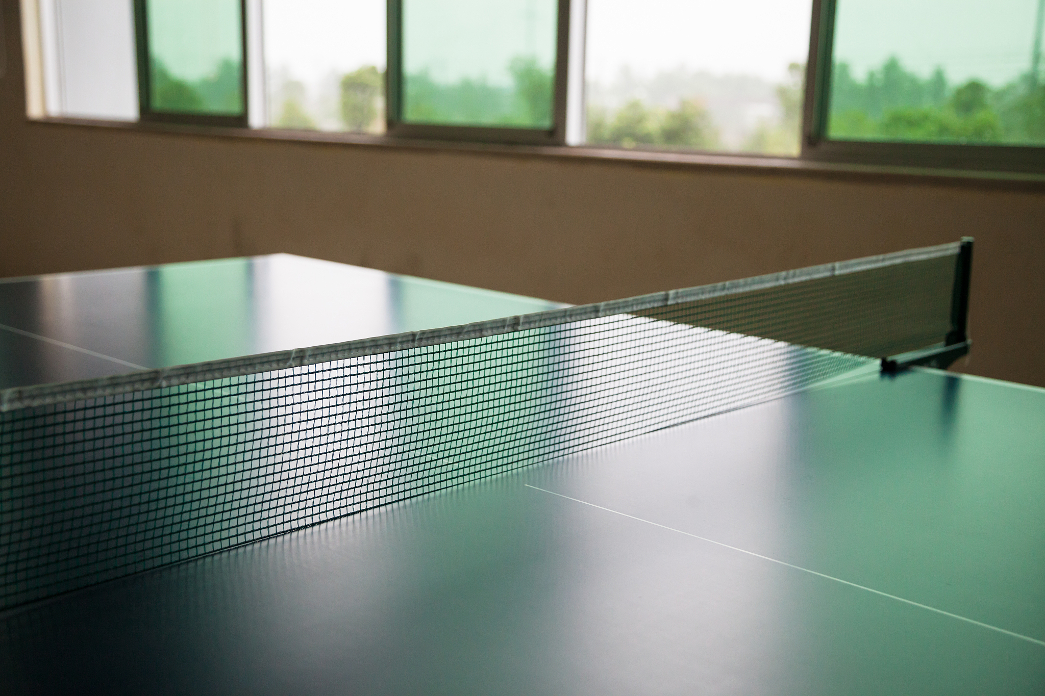 pingpong table