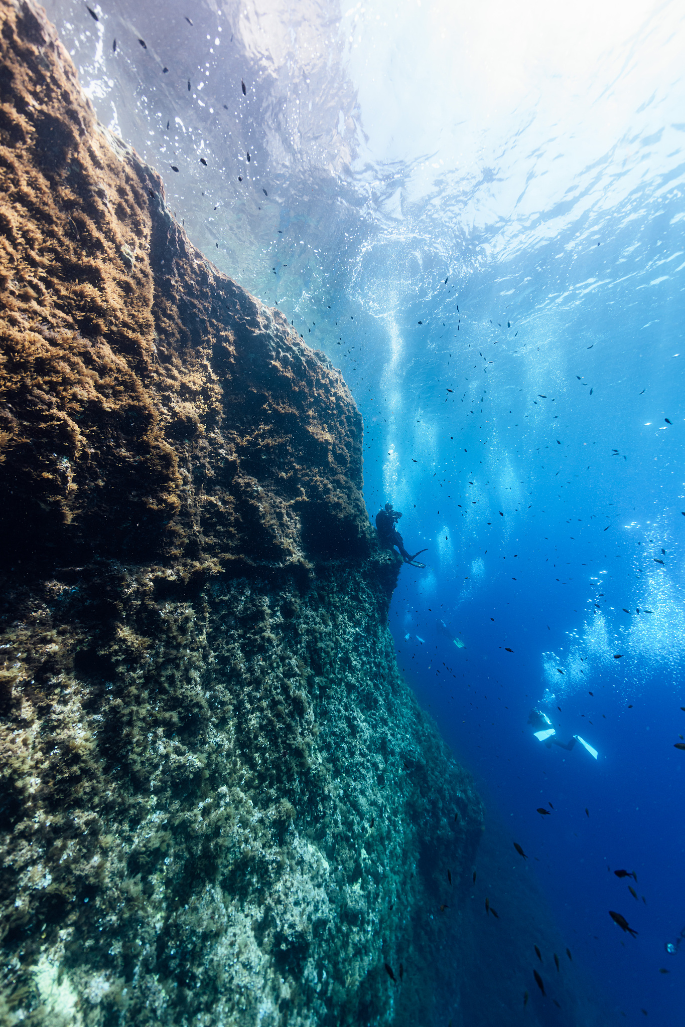 people swimming in sea