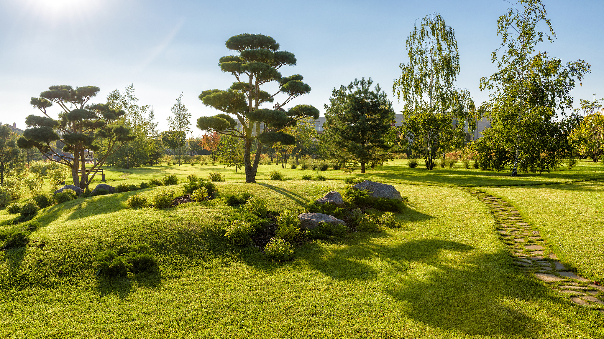 城市绿化：乡土草木资源的优势与应用