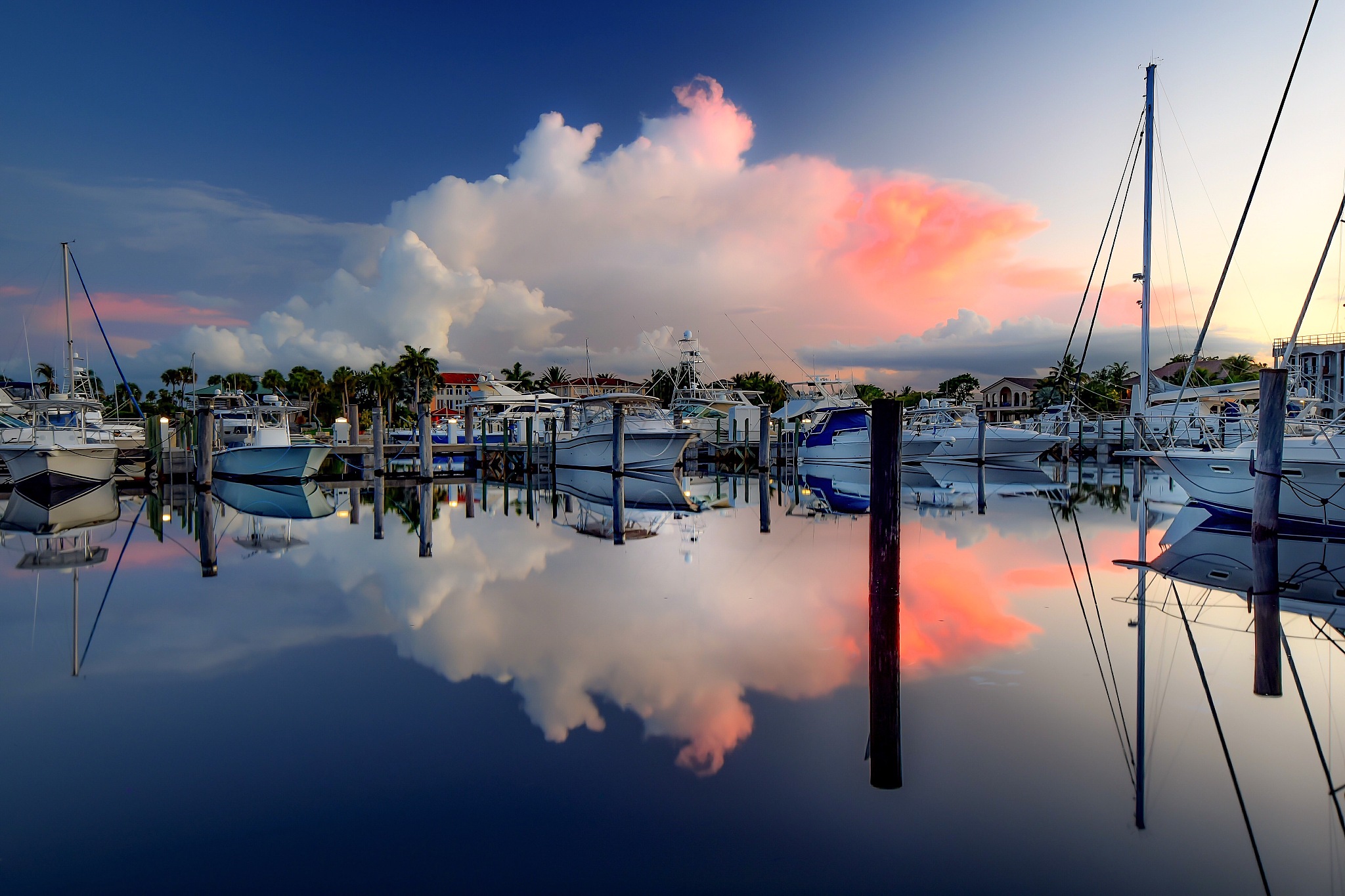 the colored cloud