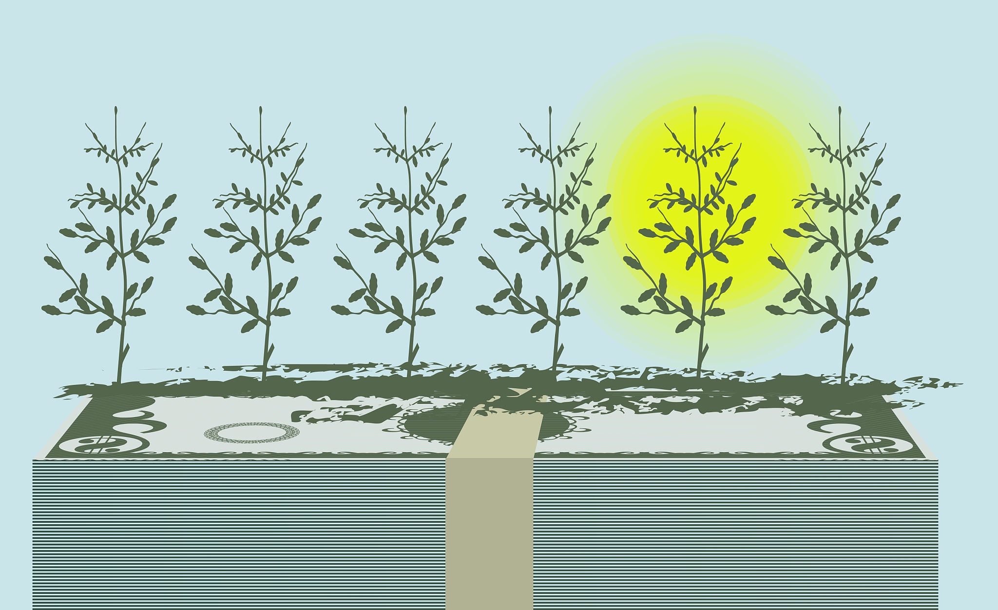 Because B is predicted to scale proportionally to total M theory predicts that the surface areas over which resources are exchanged with the environment are proportional to the ¾ power of the total pl