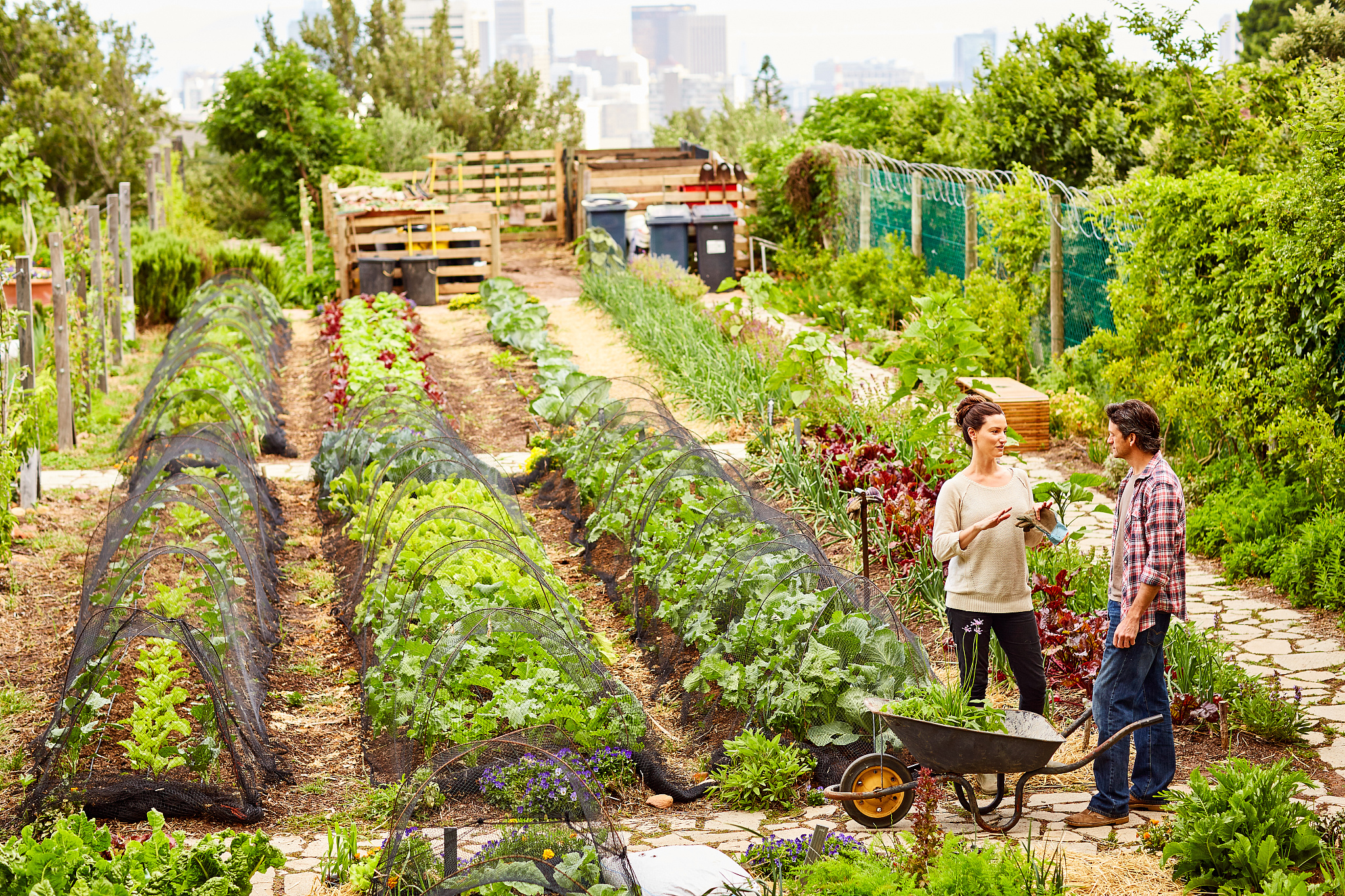 就下面这篇英语文章出一段填空题10个空。Youth Find New Hobby Farming was considered part of the rural charm in the past But now farms have come to the concrete jungle and they can even be found high up on balconiesZhang