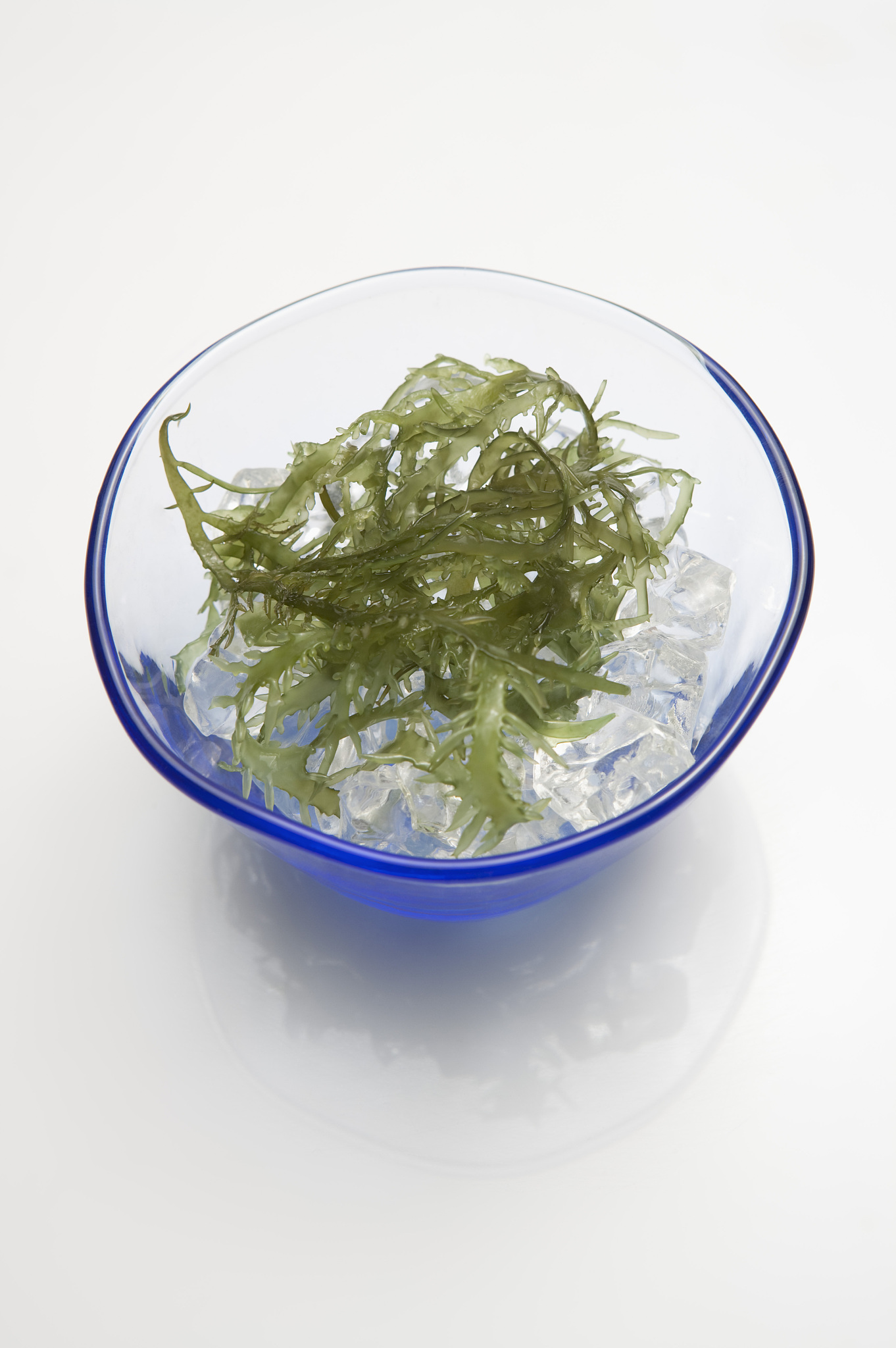 海藻