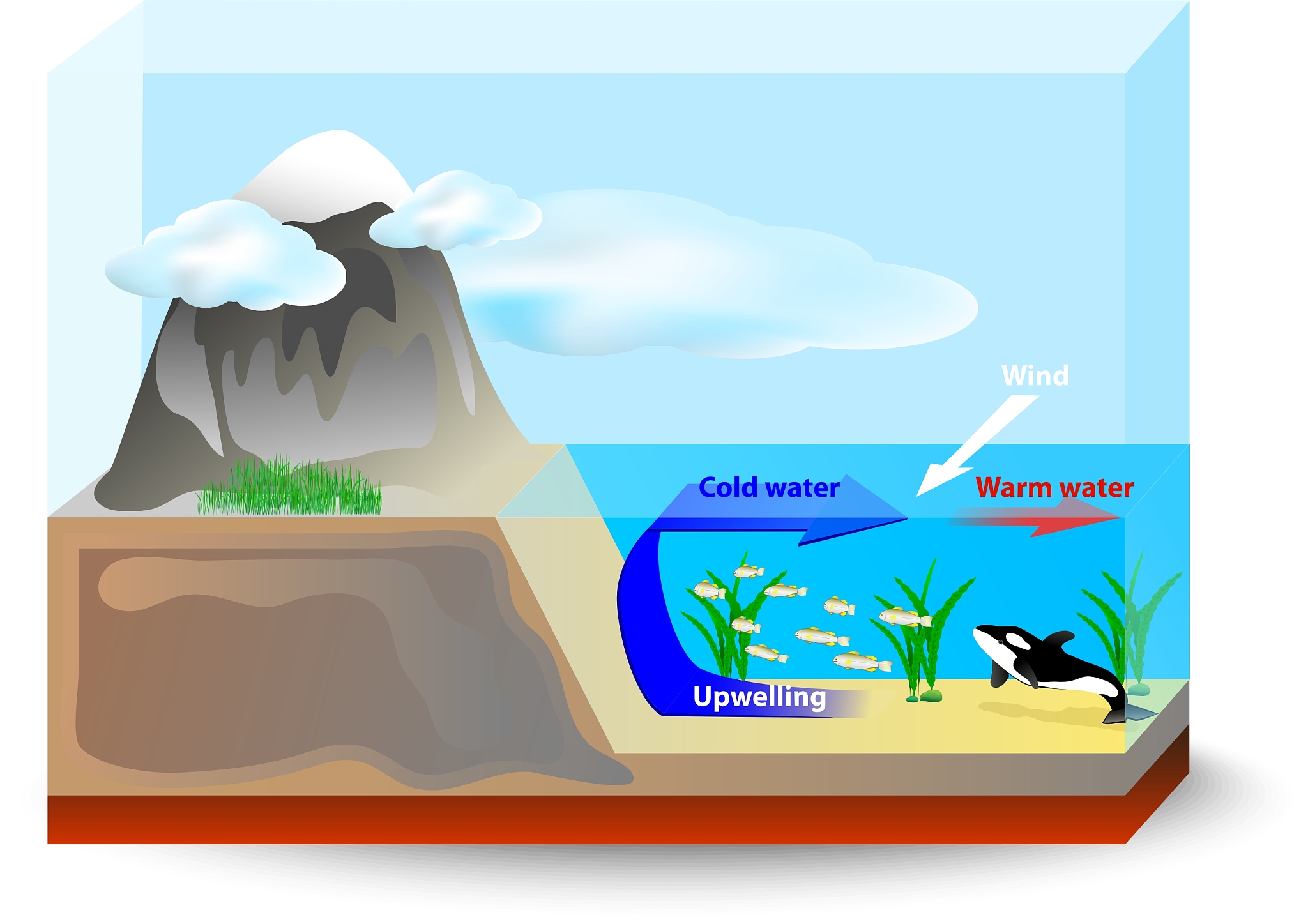北大西洋涛动影响：大气环流和洋流的周期性变化