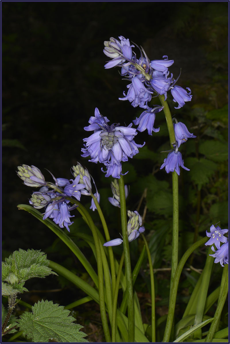 考研英语一必备词汇大纲：涵盖教育、政治、科技、商业和社会议题