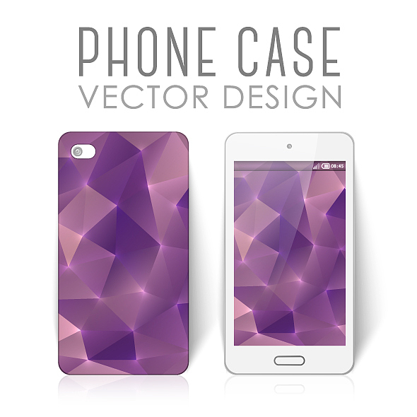 写一个会飞的手机壳的资金使用情况