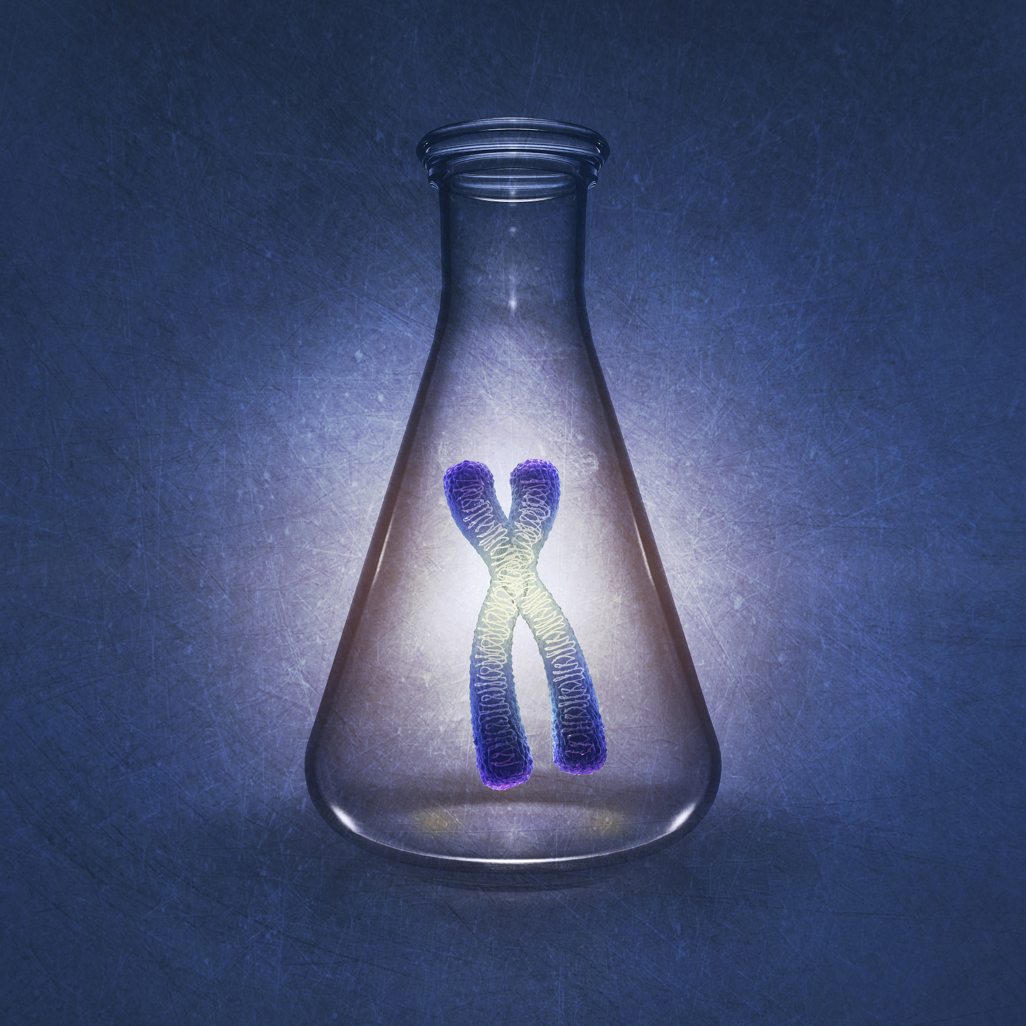 染色体片段缺失和重复：基因种类变化的根本原因