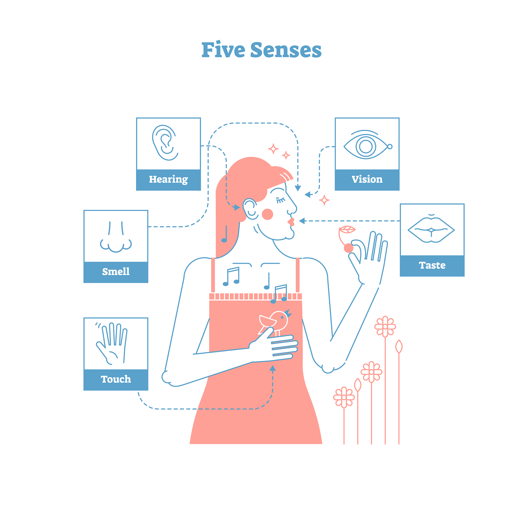 夸美纽斯直观性原则：教学中的'金科玉律'