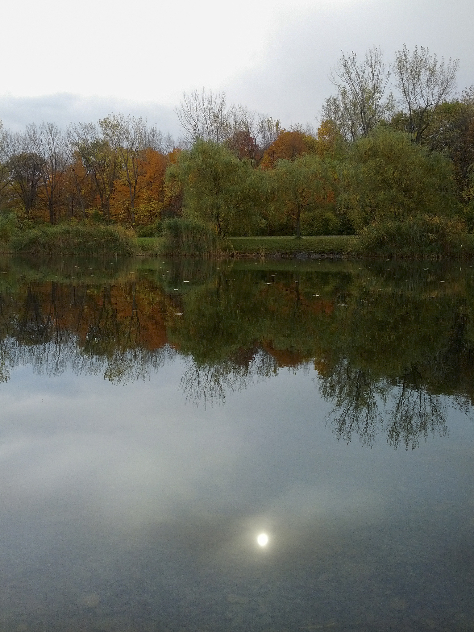 摄影技术提升技巧：5个实用方法助你快速进阶