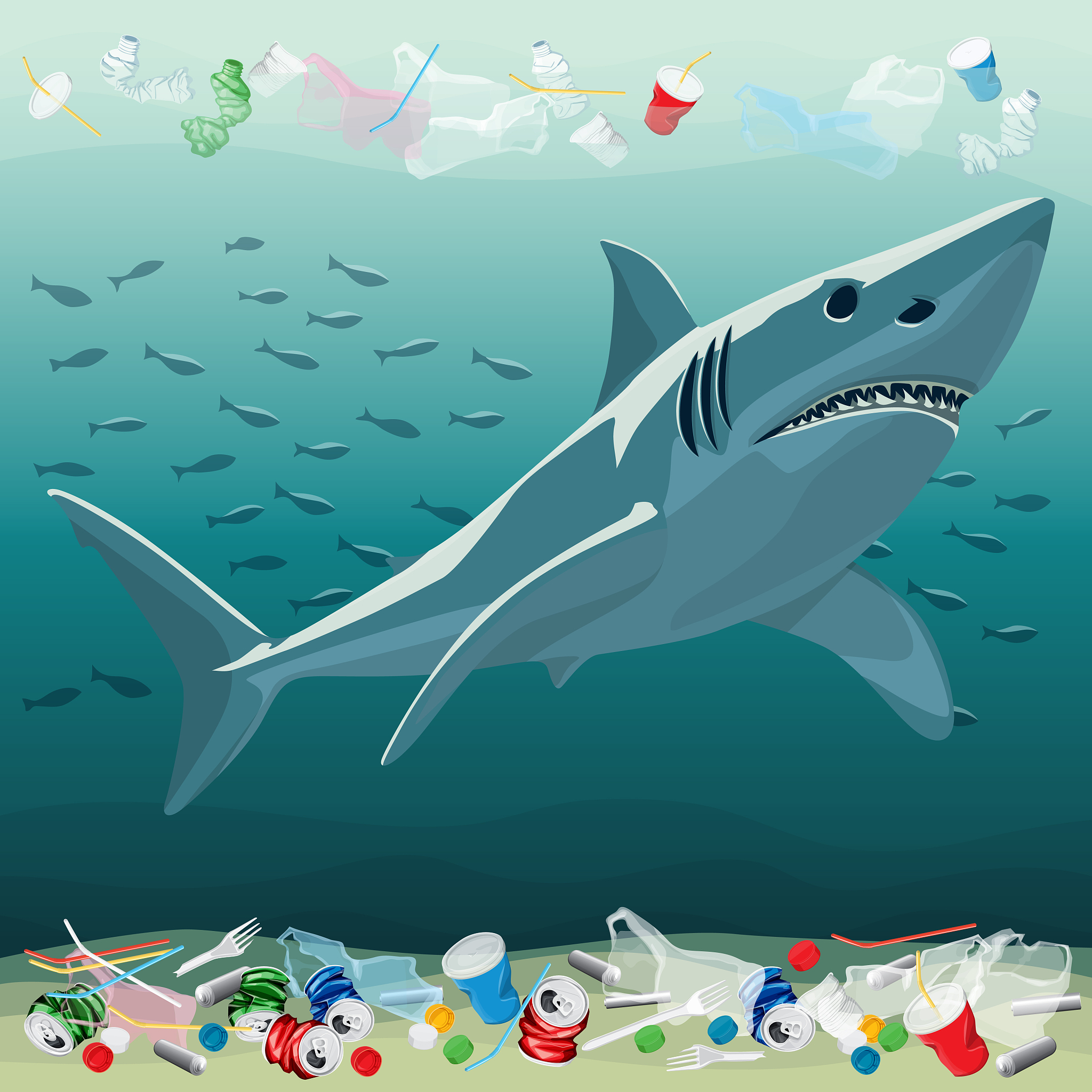 environment pollution illustration and shark