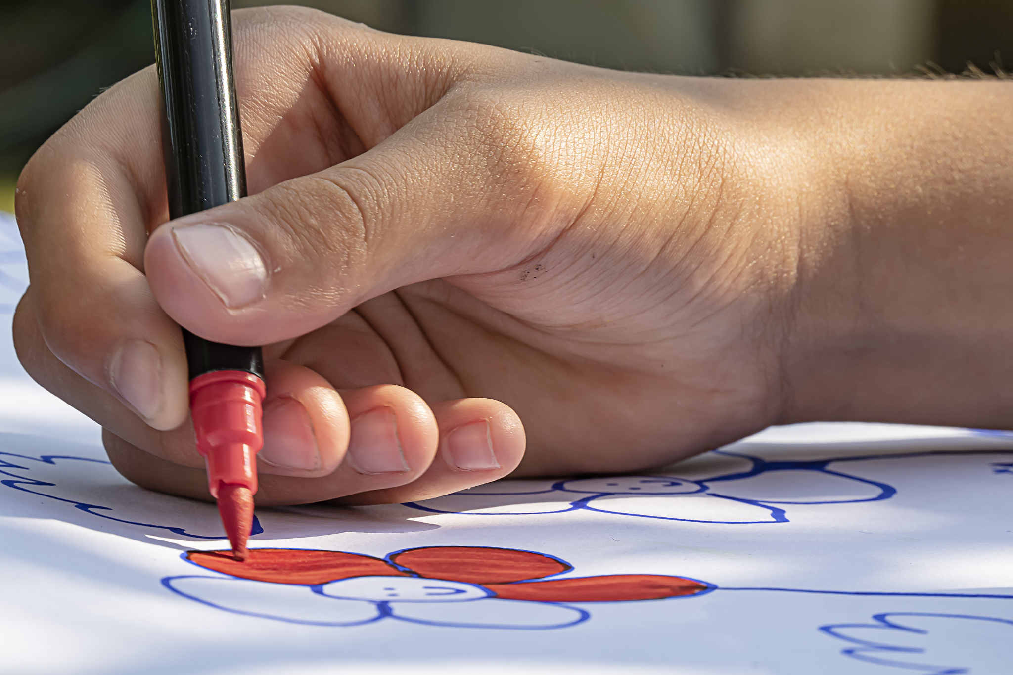 彩色童年：小灰和小彩的快乐冒险