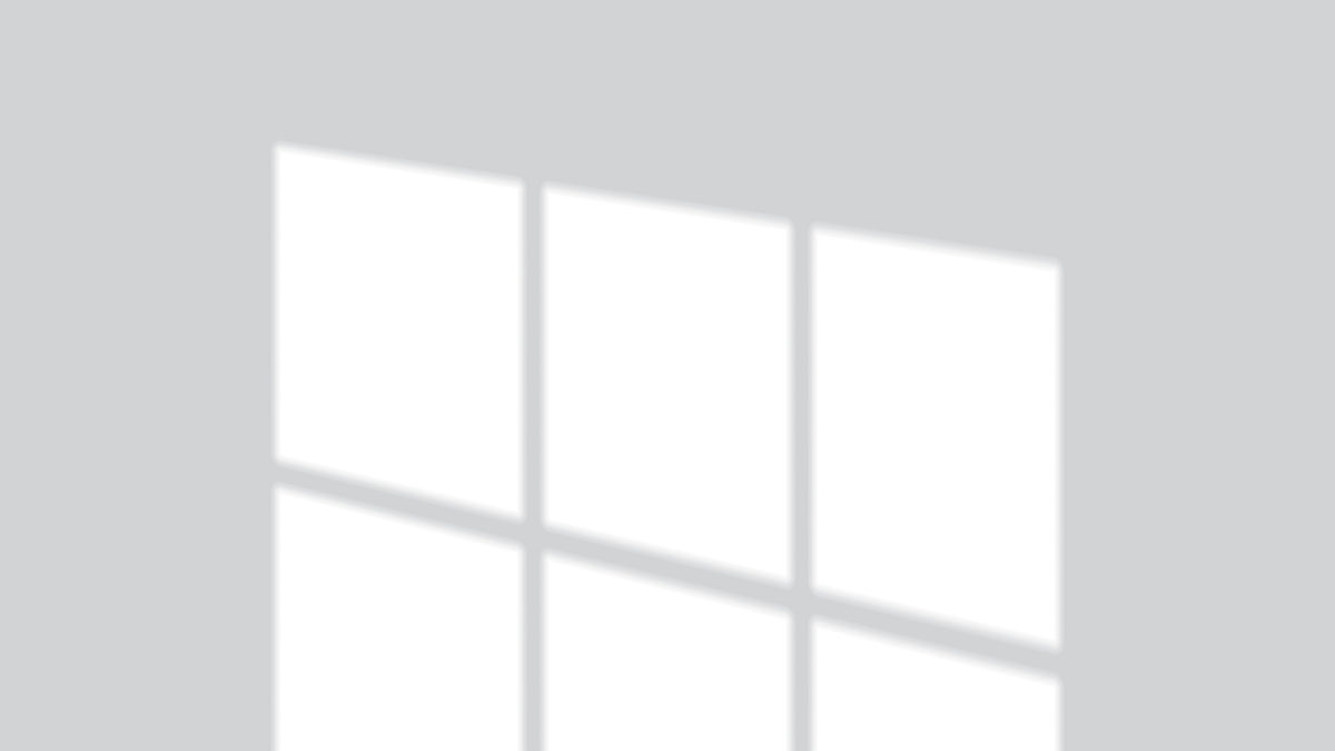 翻译the world is its own best model