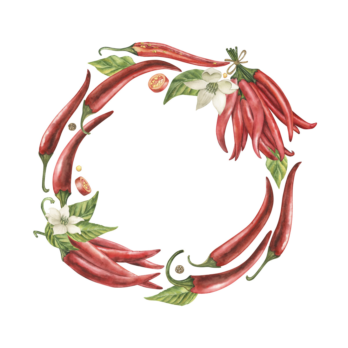 种子学与就业的课程结课论文