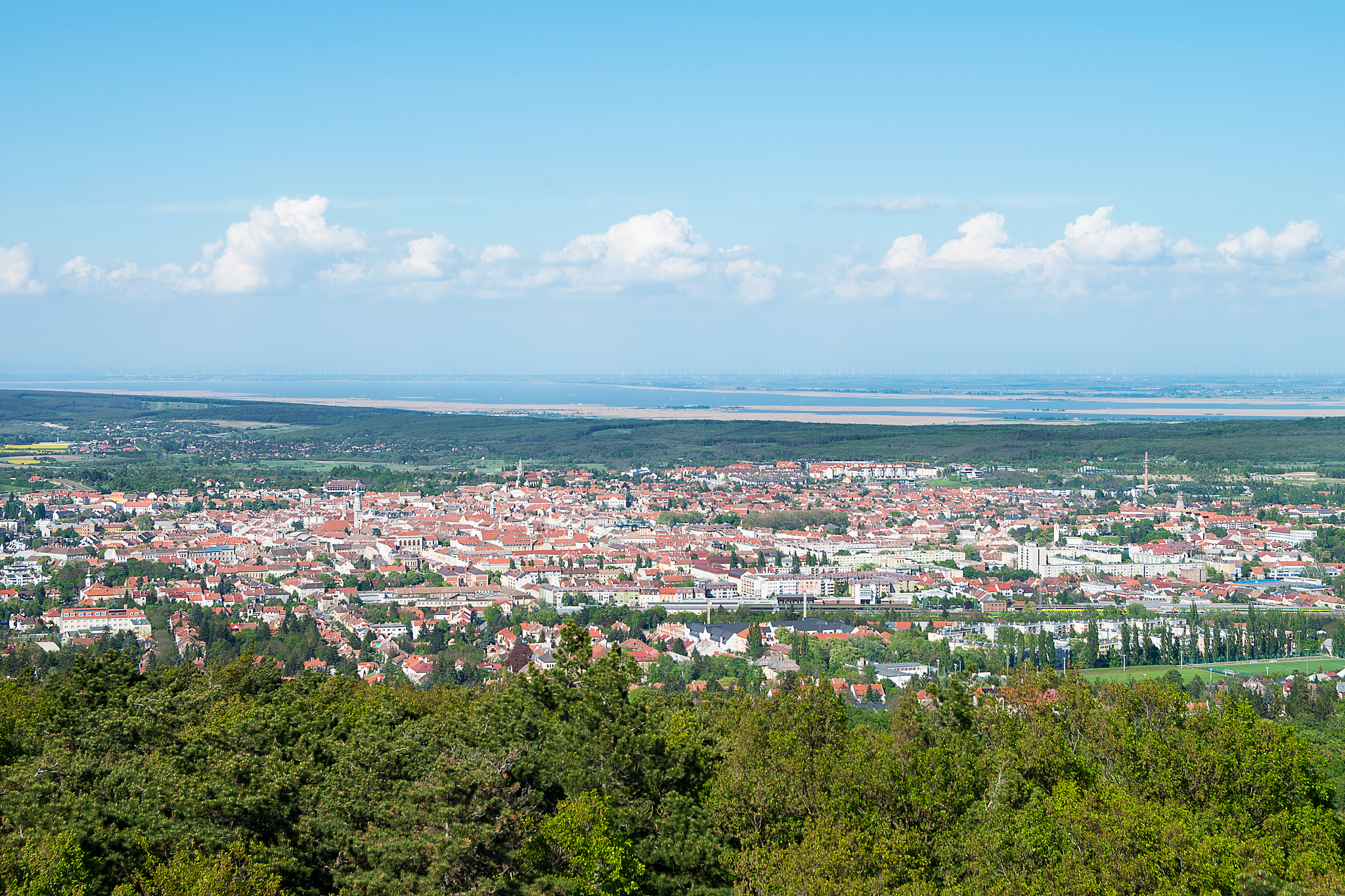view of sopron and lake ferto, hungary