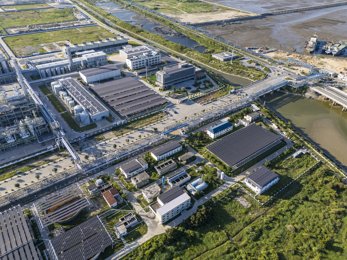 龙王湾研发基地：代建制项目，科技创新典范
