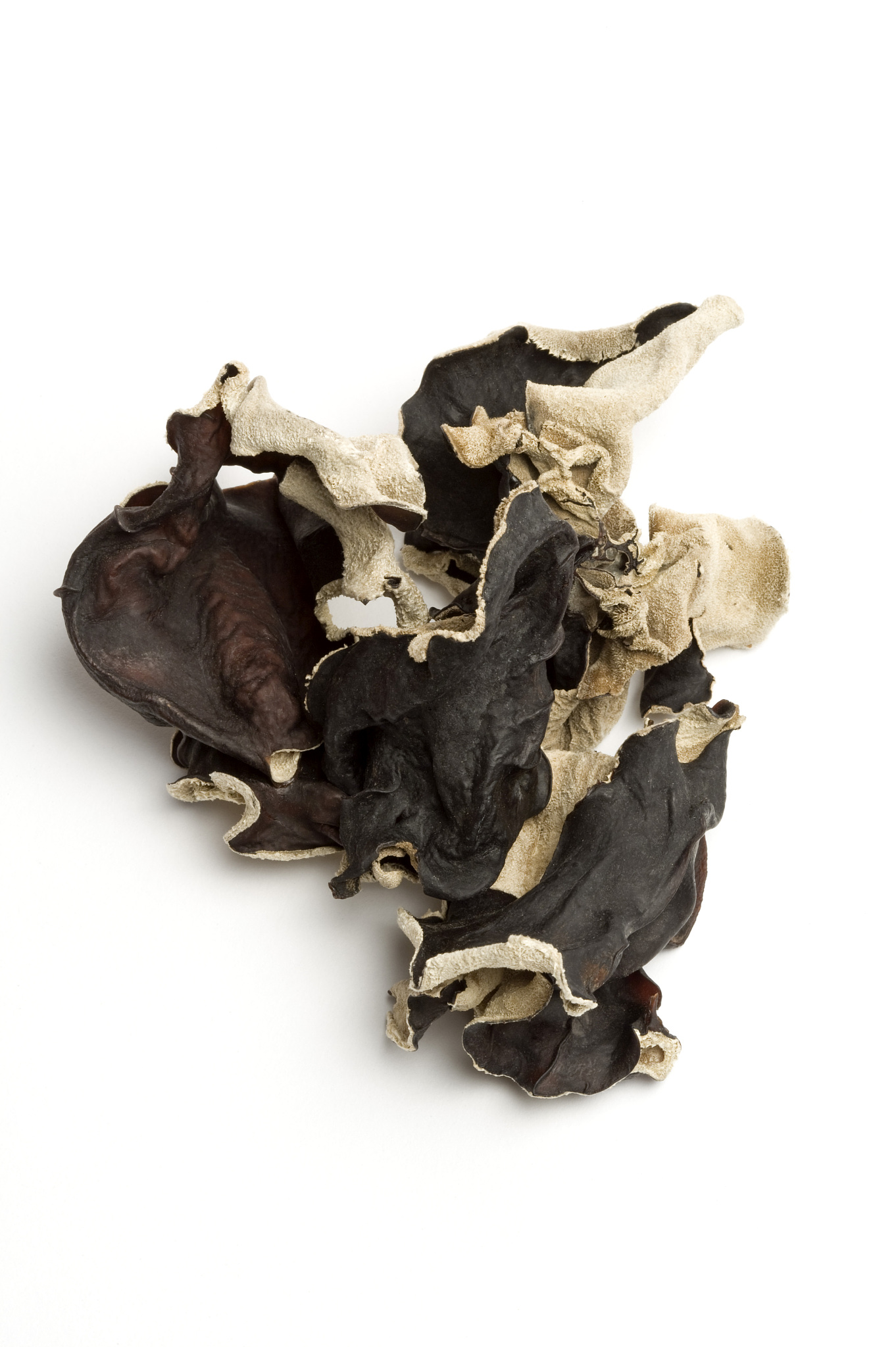 黑木耳能治疗肌少症吗？探索黑木耳与肌少症的研究现状