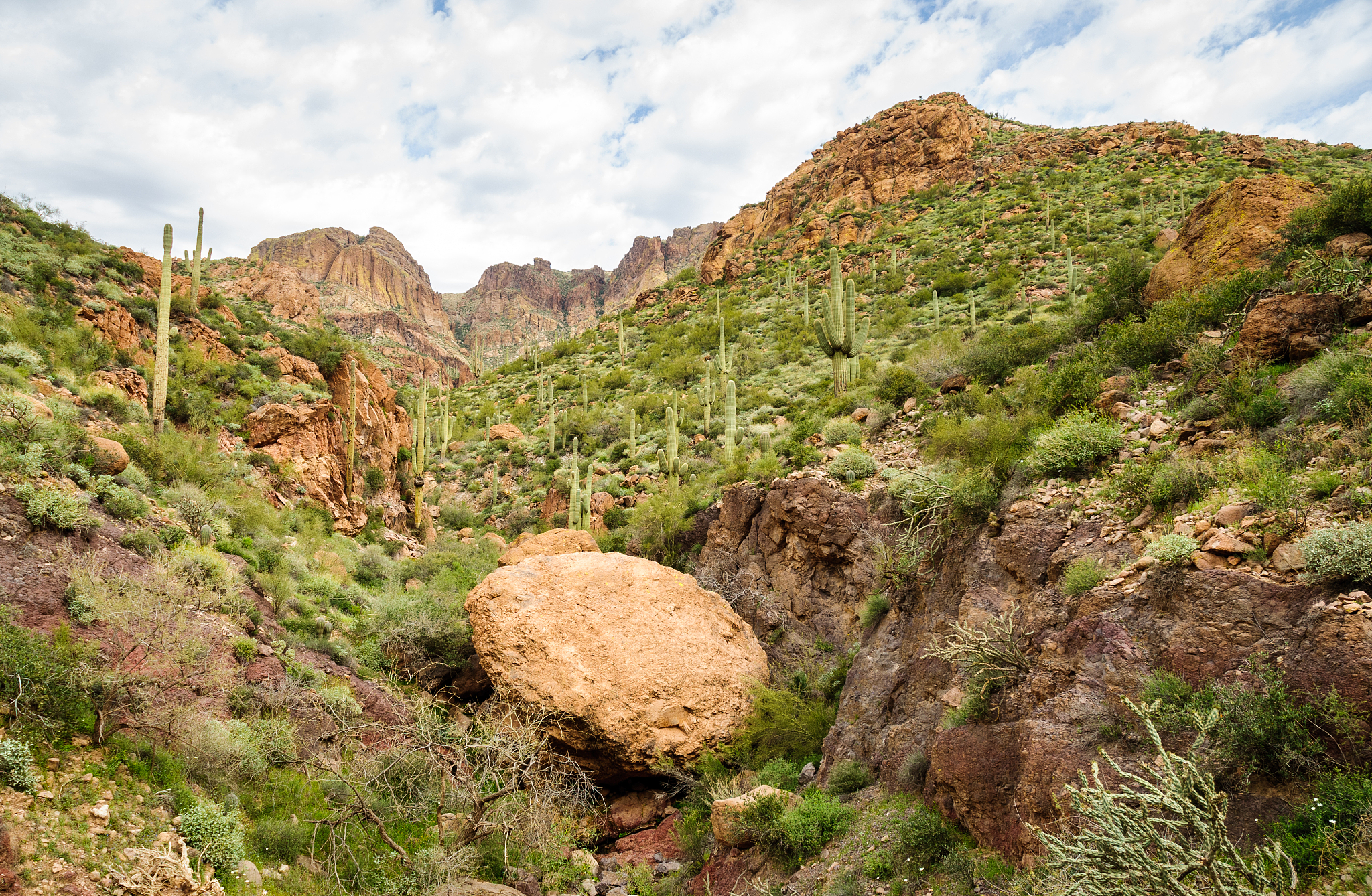 apache trail