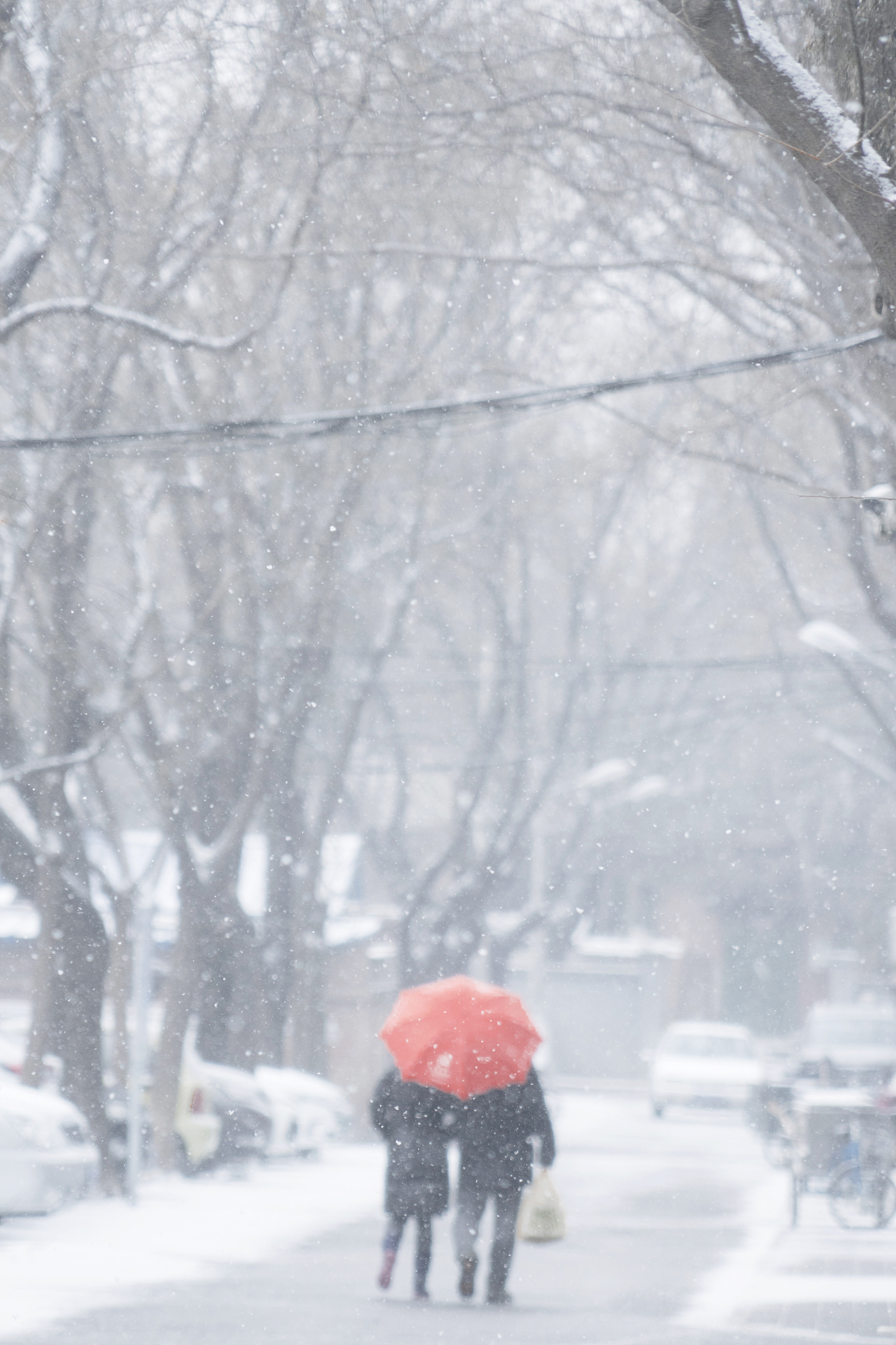 一年不见雪怎么回复？