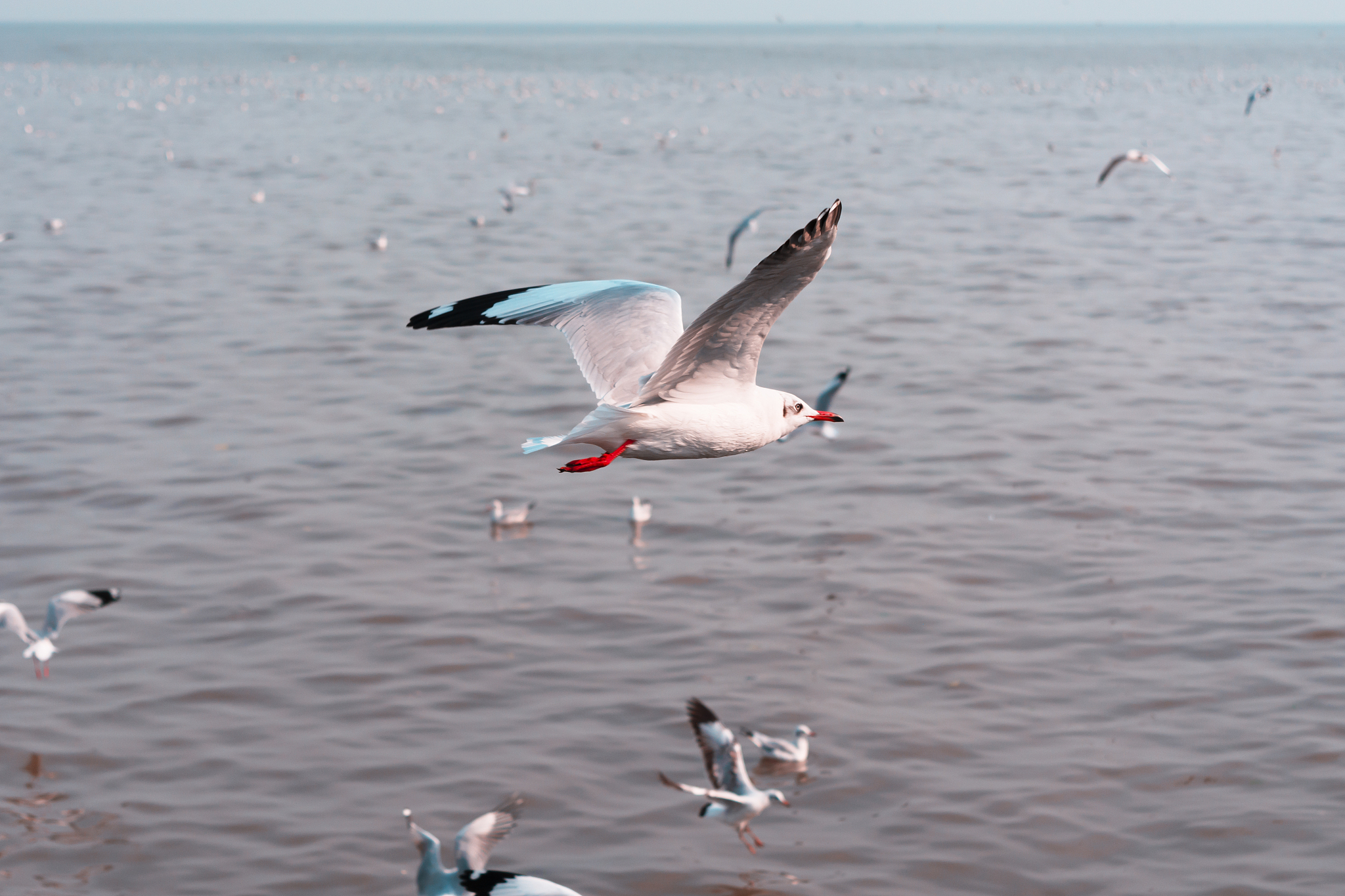 企业建设全景式人才评价积分系统的海南政策背景