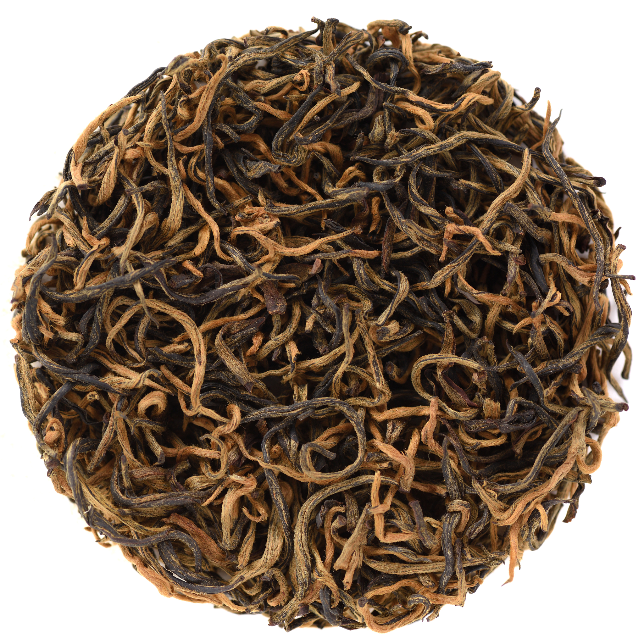 云南林业职业技术学院2019年招生专业：三年制中专、五年一贯制大专