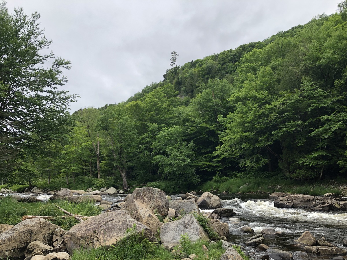阿迪朗达克山脉林间河流