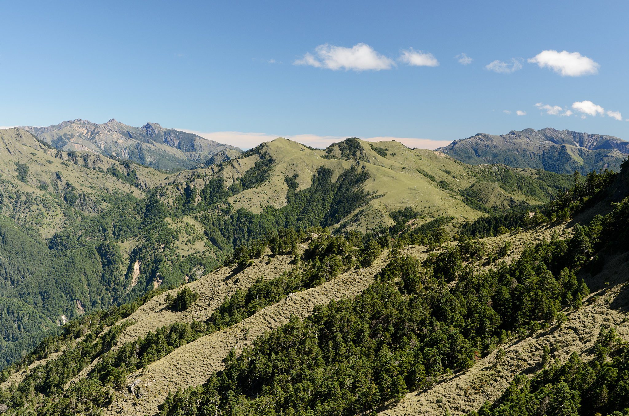 兰州兴隆山垂直地带性：气候、植被和动物分布的变化