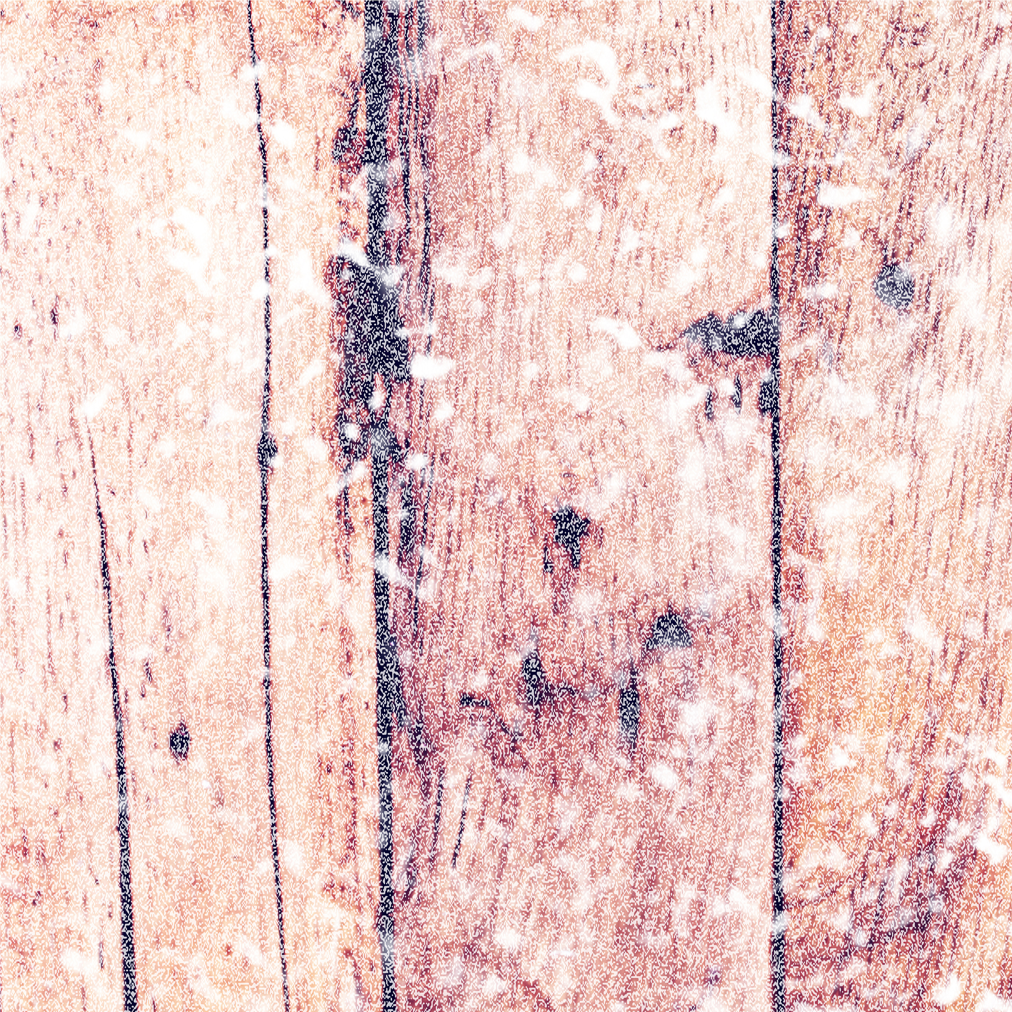 猫肠道出血病理学描述：血管扩张、黏膜糜烂等特征