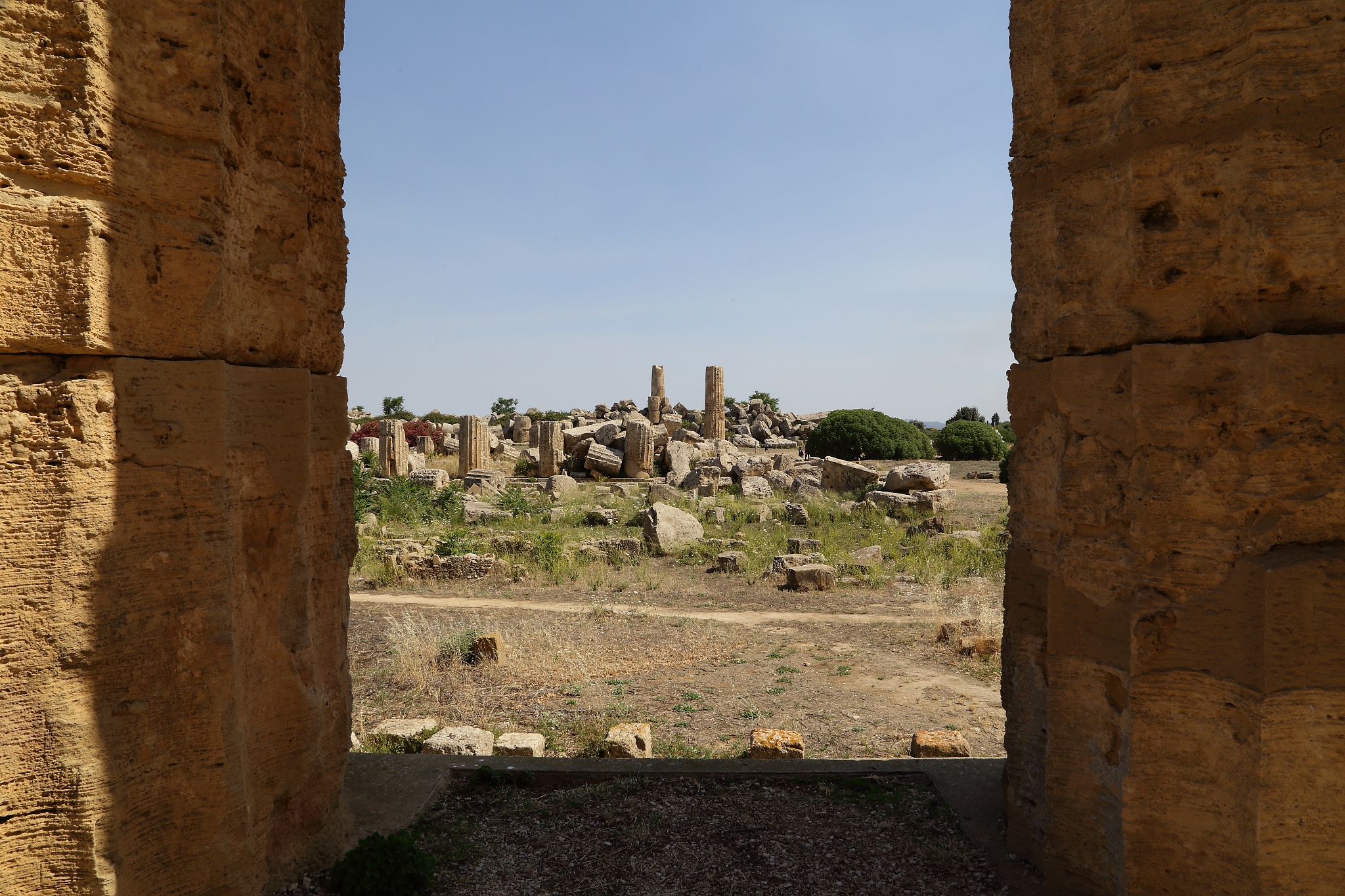 selinunte (sicily) temple