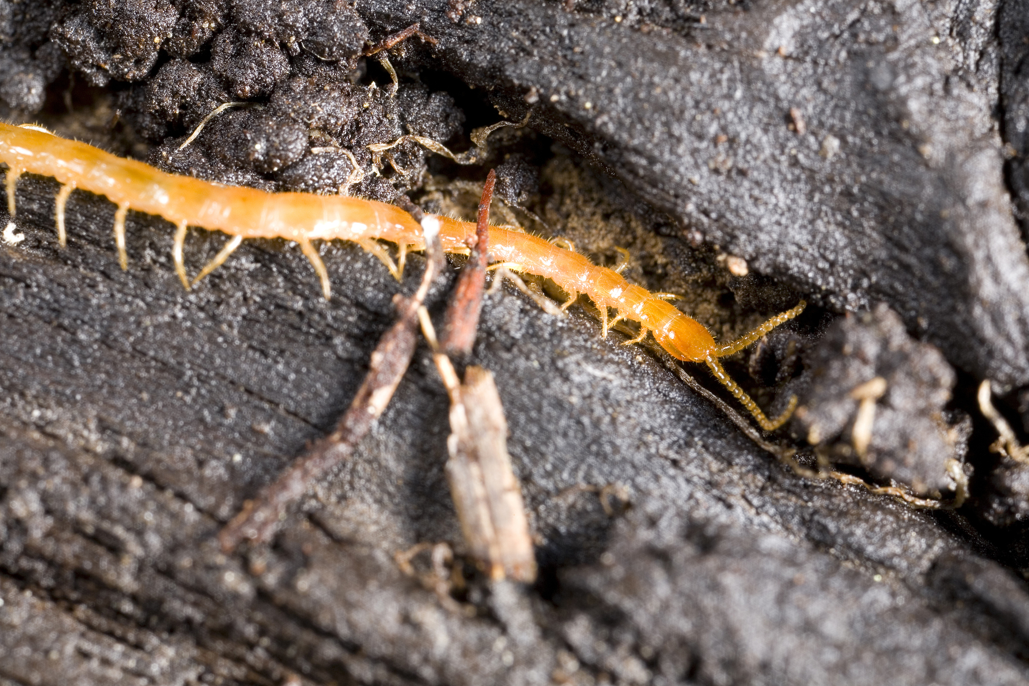 孝感生物工程学校2021年招生专业有哪些