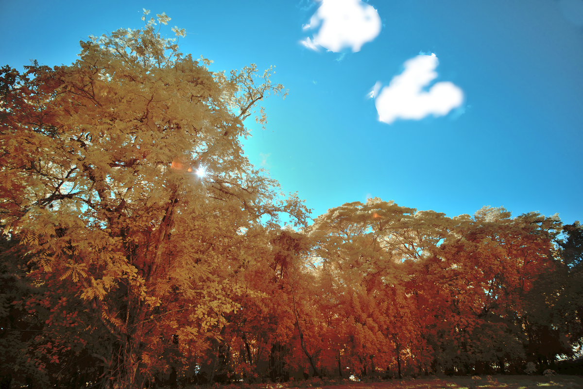 温度对同一厚度的透明液体的红外透光度会有什么影响是正相关还是反相关