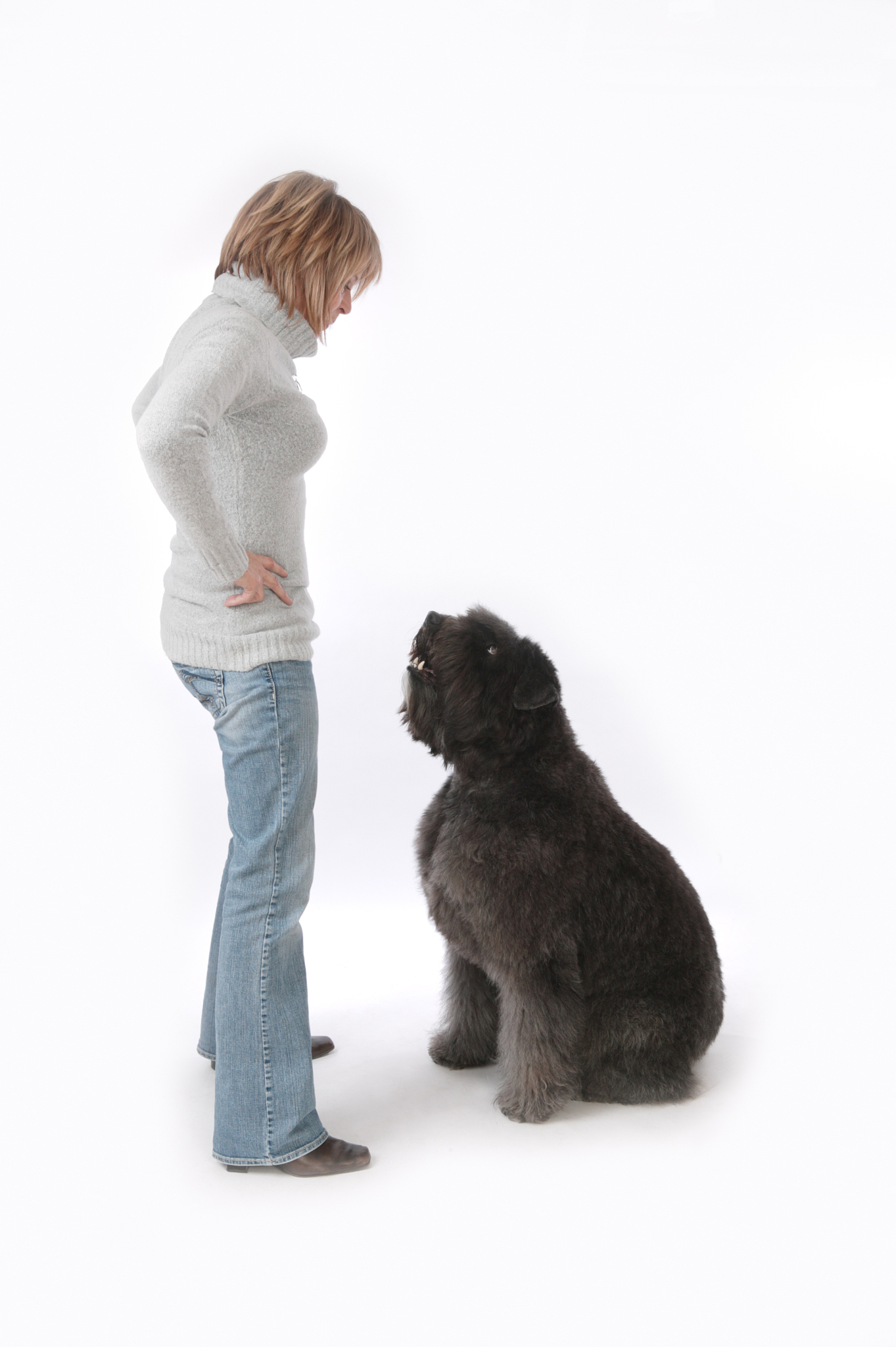 辽宁农业职业技术学院宠物养护与驯导专业如何好学吗