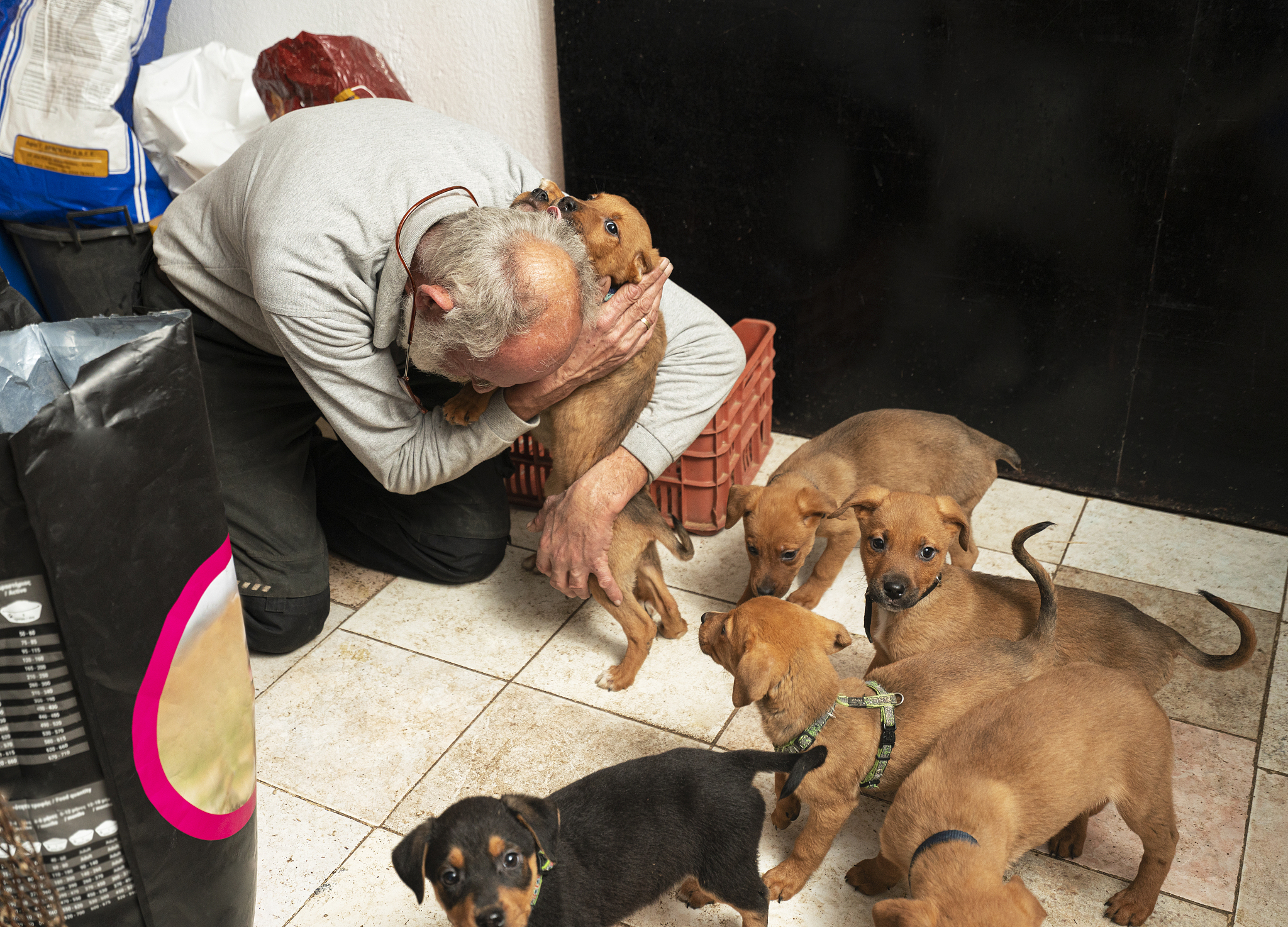 人能和狗杂交吗