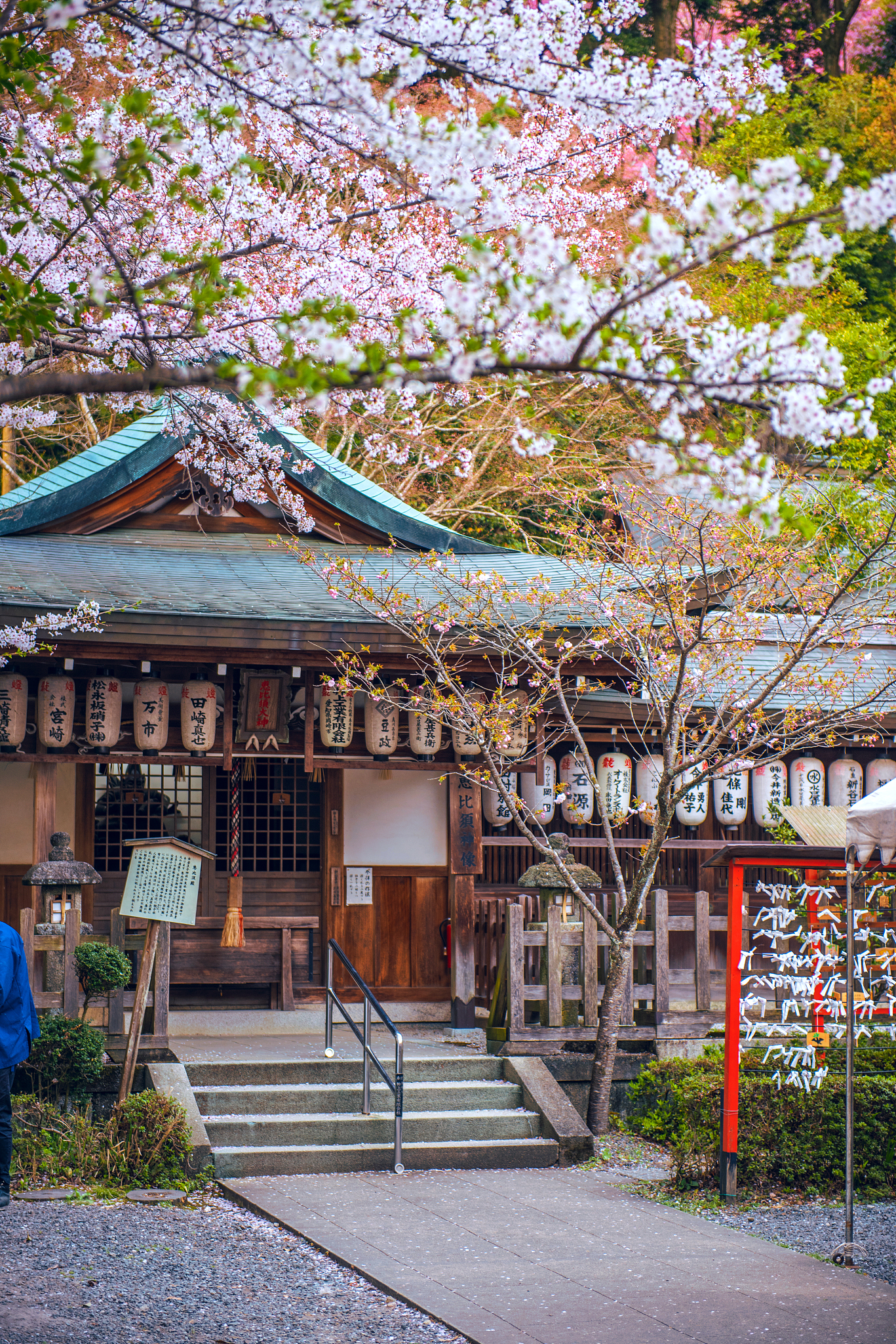 以日本文化的美学之旅：传统与现代的融合为题写一篇1200字文章