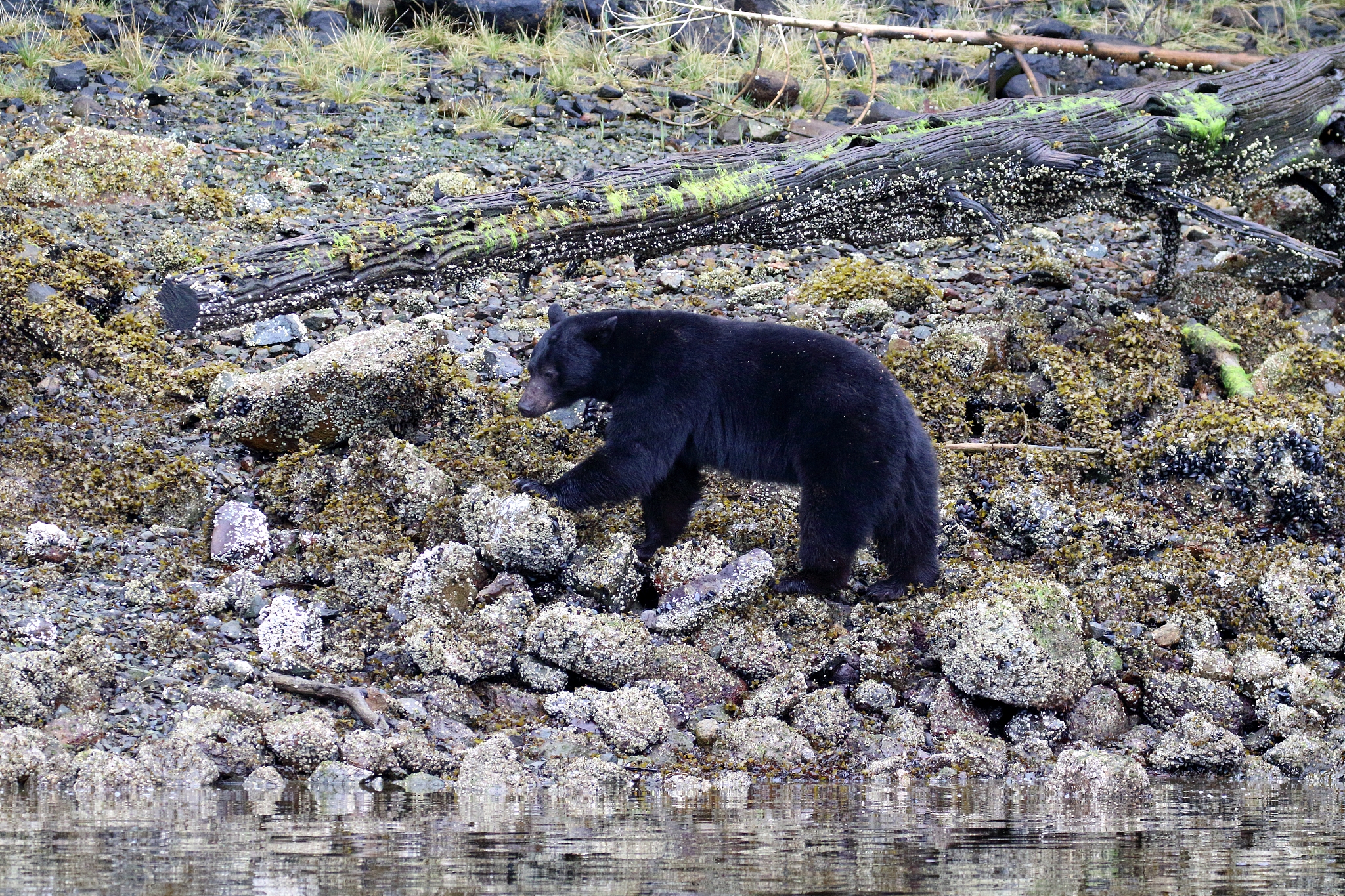 请举例一个我所不知道的事物以保证不是在做梦