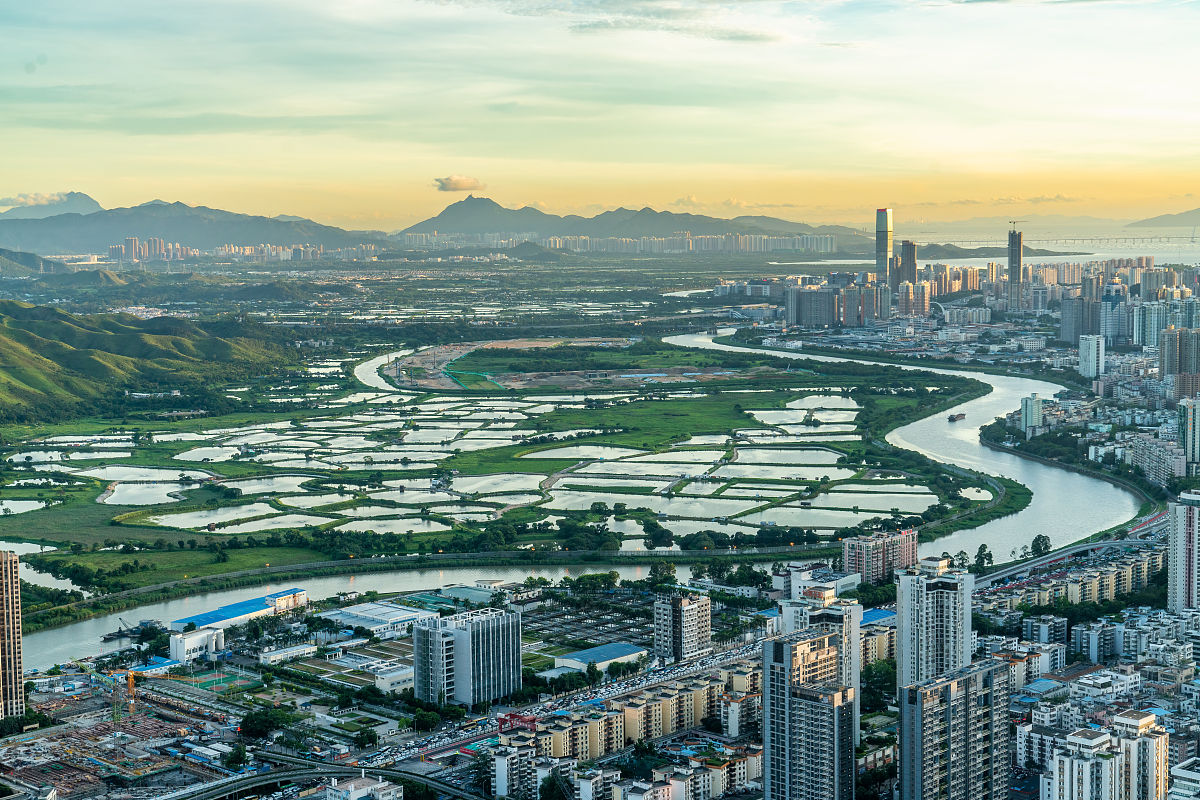 的以中国特色社会主义先行示范区——深圳为主题的期末论文
