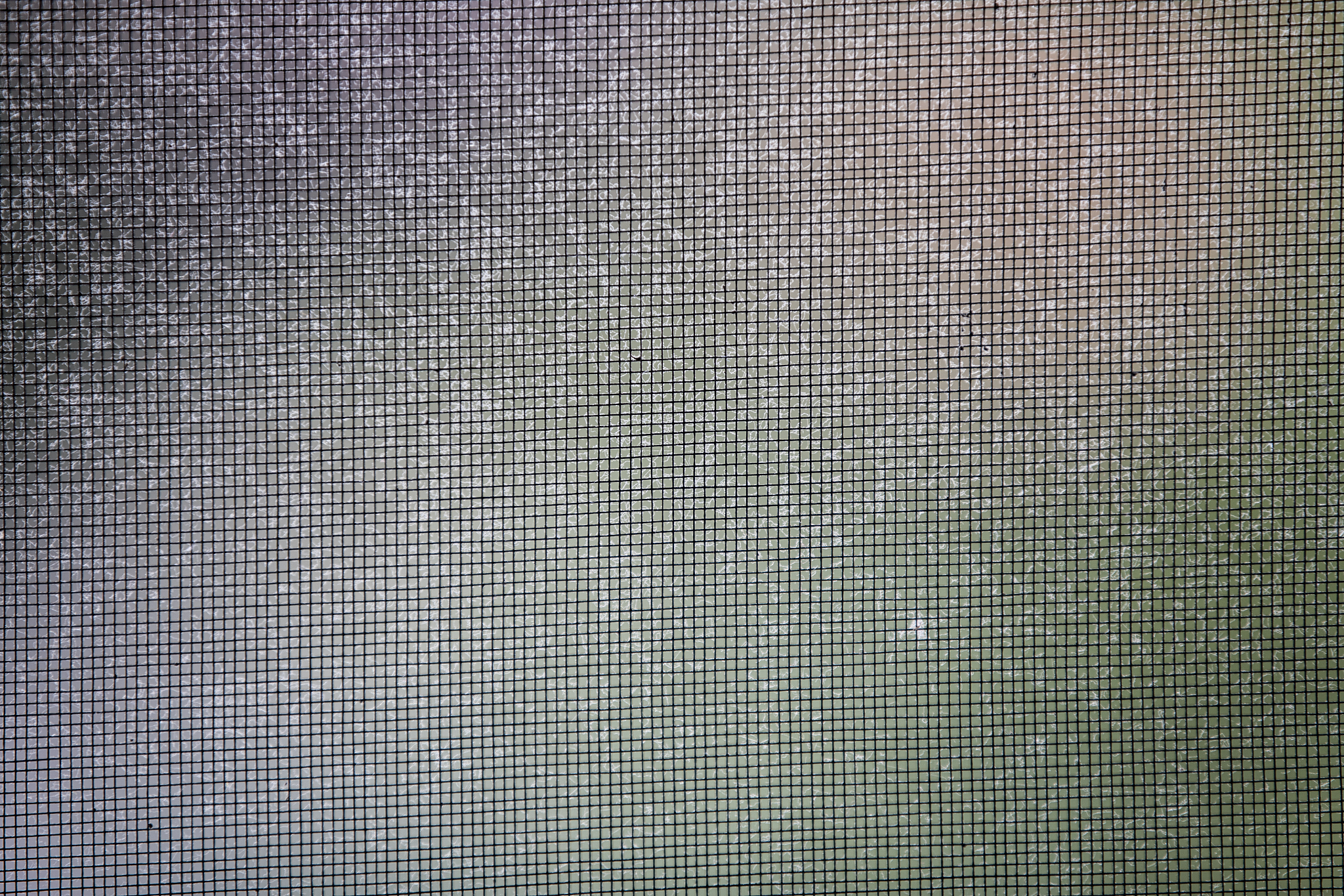 离婚了用黄色蚊帐好吗回答加拓展。