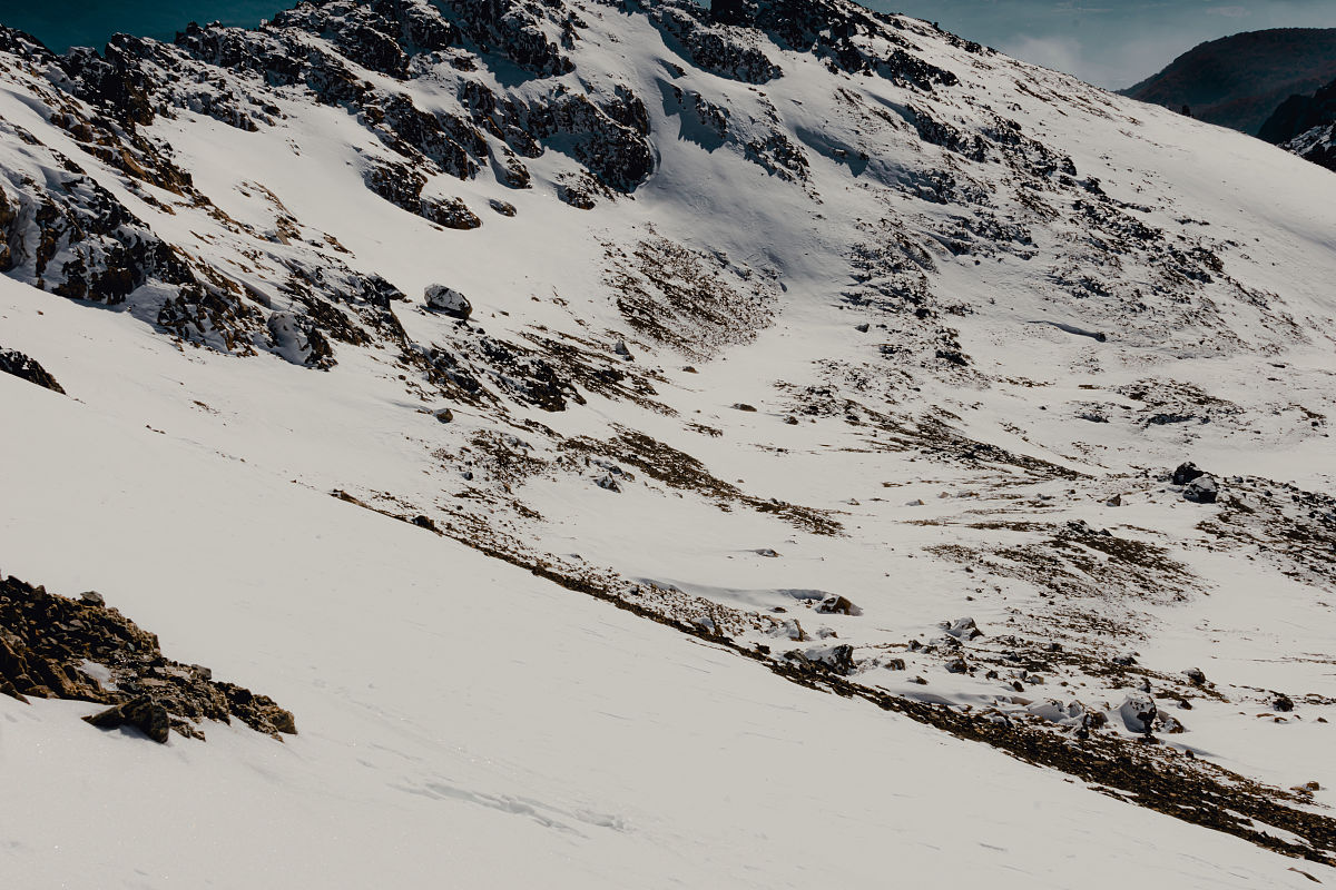 香港司法改革：律师和大律师的未来何去何从？